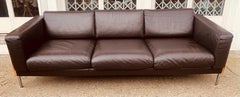 Vintage 2000s Dark Brown Leather 3-Seater Robin Day for Hille Habitat Sofa