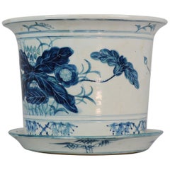 20th Century Chinese Porcelain Jardiniere or Planter for Flower Cabbage Leaf