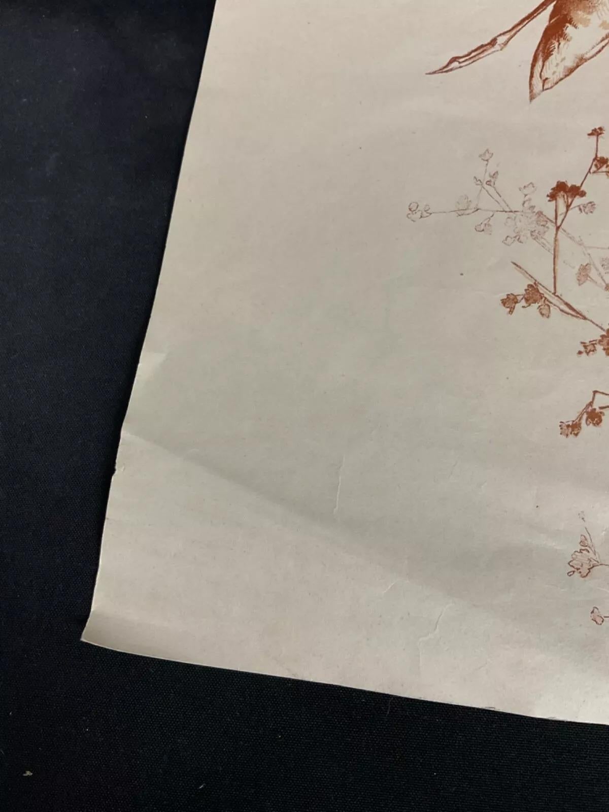 Carta Incisione floreale d'epoca del XX secolo di Mr. Langer - Firmata - 2Y559 in vendita