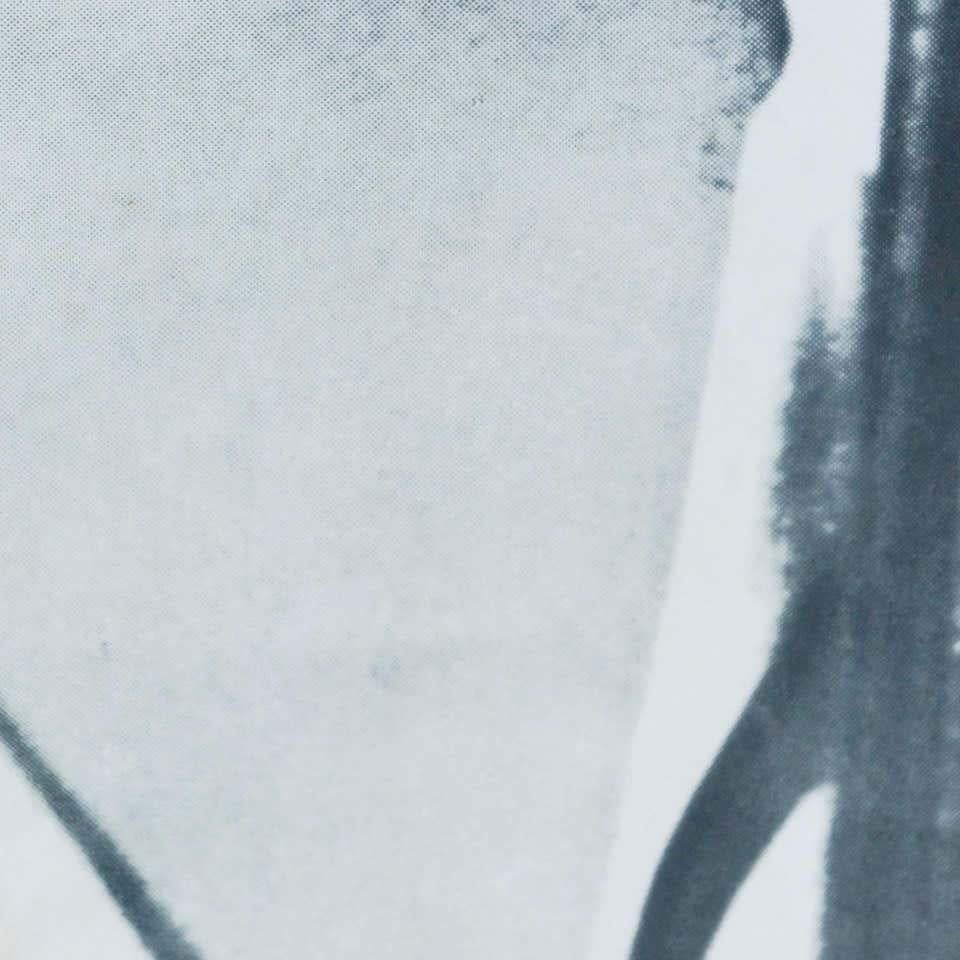 Großer Vintage-Fotodruck von Marilyn Monroe, 20. Jahrhundert im Angebot 8
