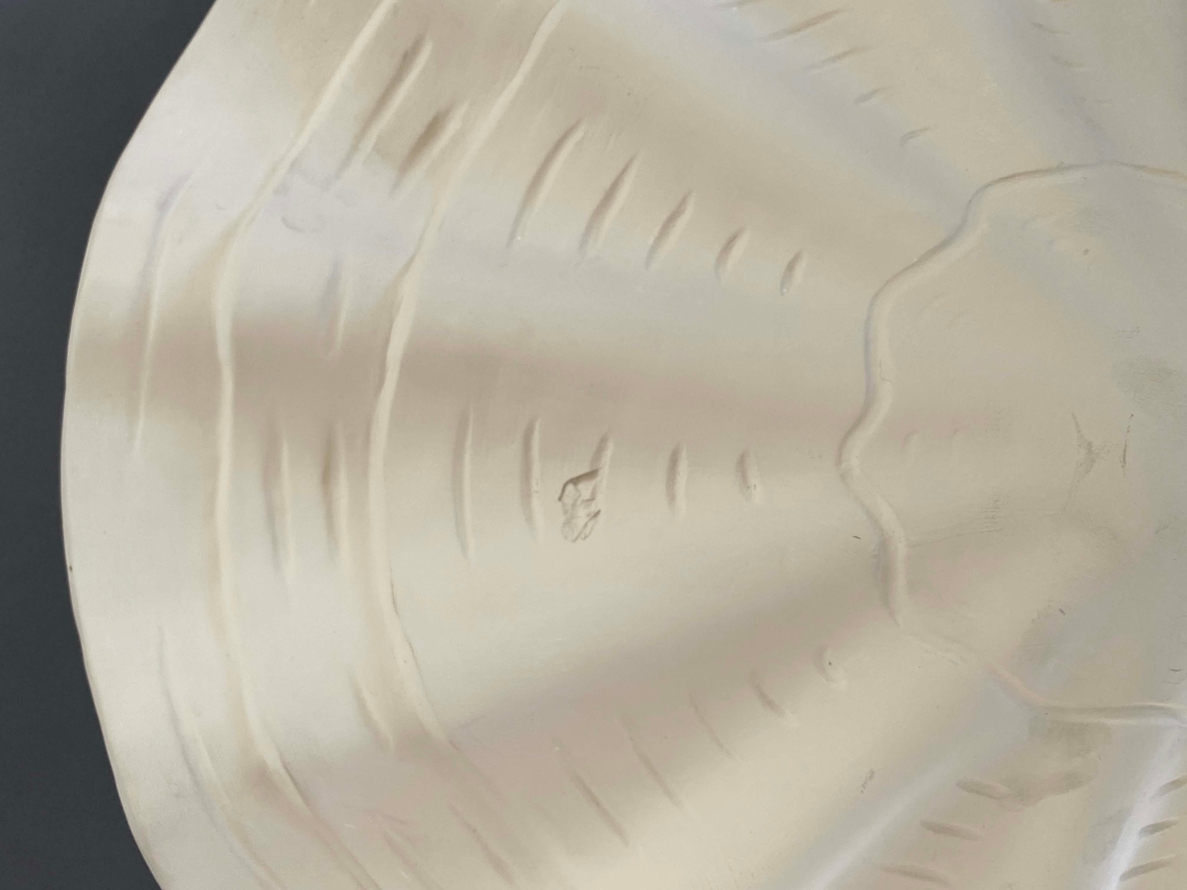 Ciondolo o lampadario in gesso con conchiglia di dollaro di sabbia vintage da 26