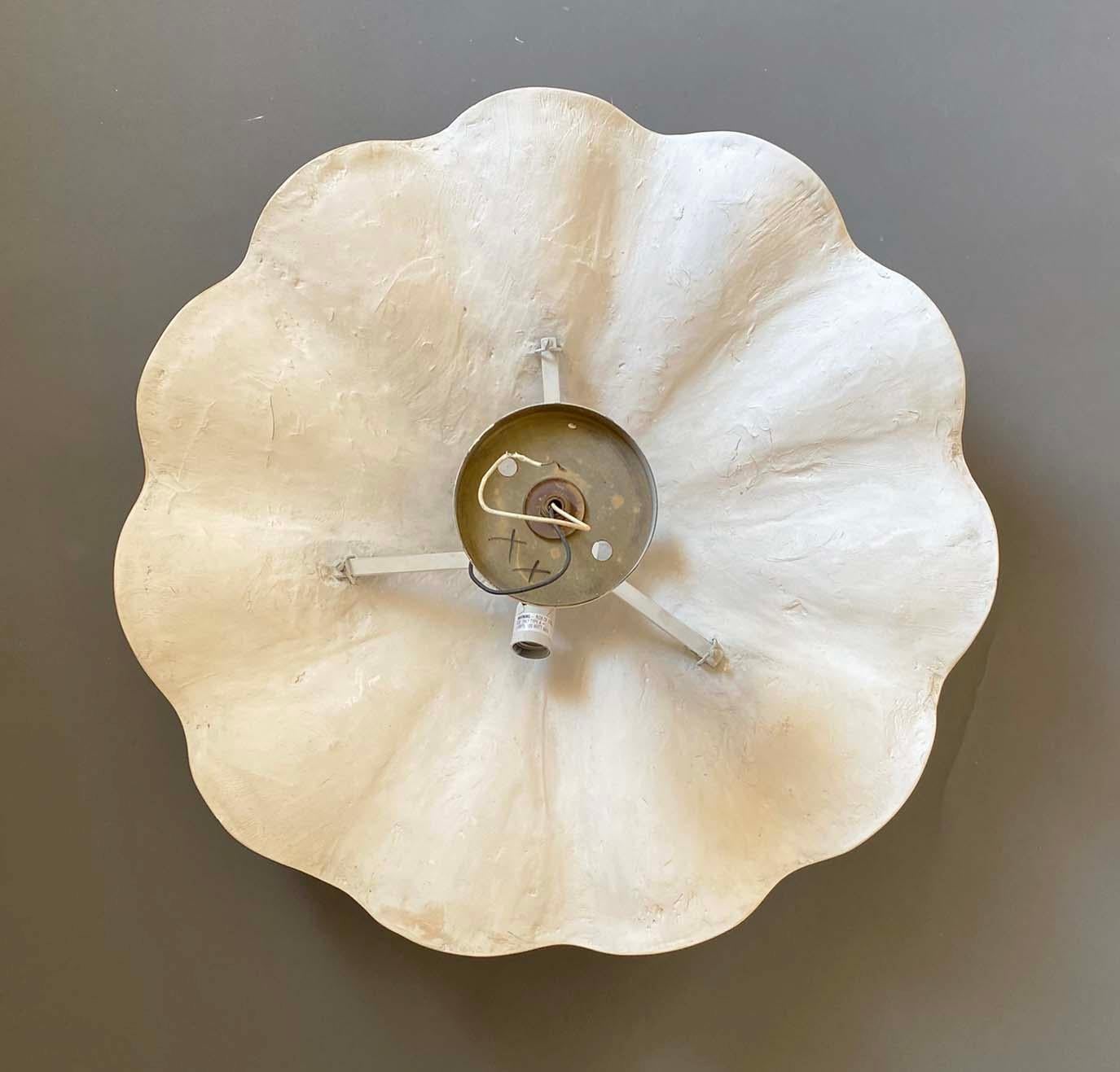 Ciondolo o lampadario in gesso con conchiglia di dollaro di sabbia vintage da 26