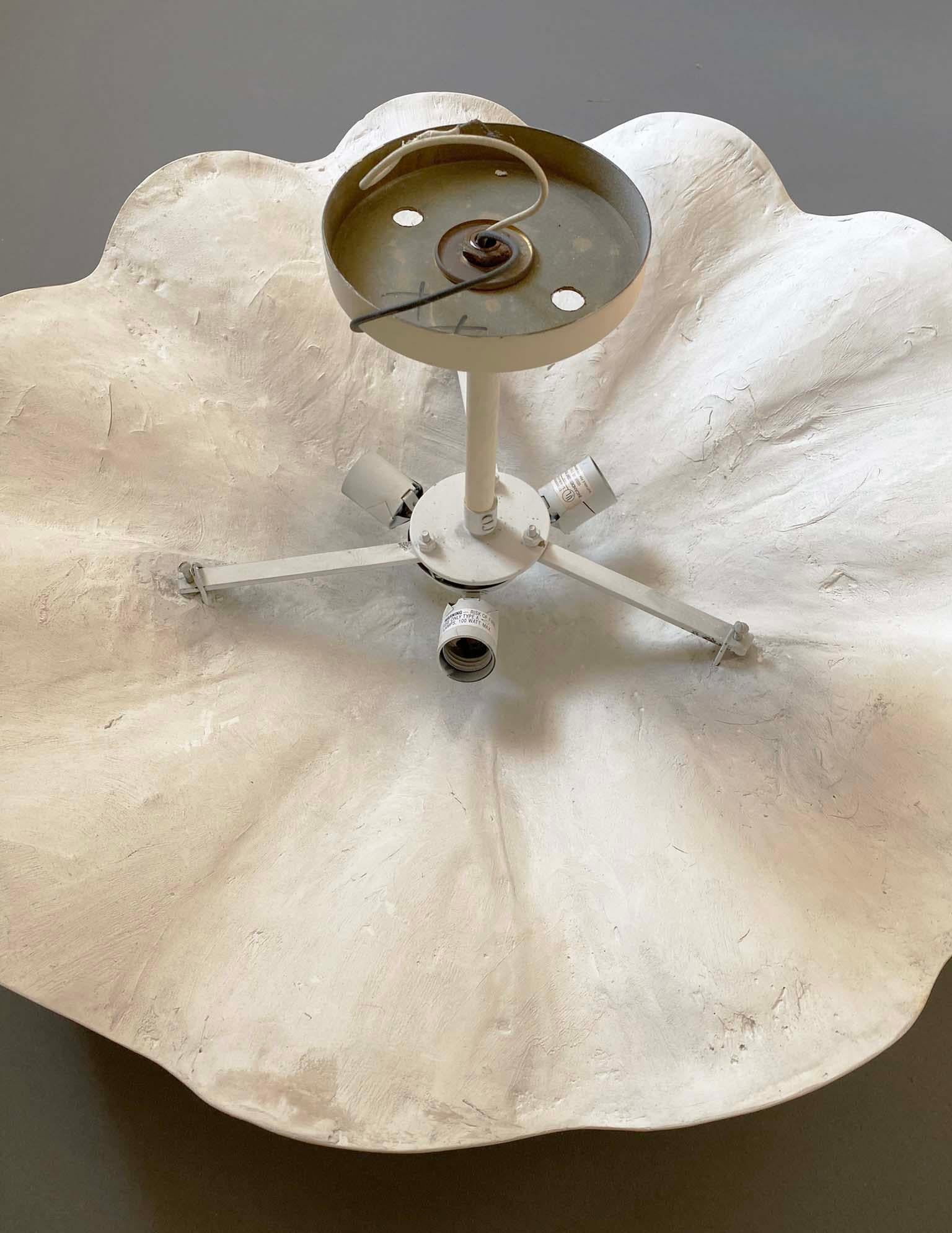 Ciondolo o lampadario in gesso con conchiglia di dollaro di sabbia vintage da 26