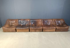 Vintage 5 pc leather DS46 modular sofa by De Sede, 1970s