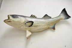 Vintage 50" Large Striped Bass Full Wall Mount Taxidermy Fish Replica