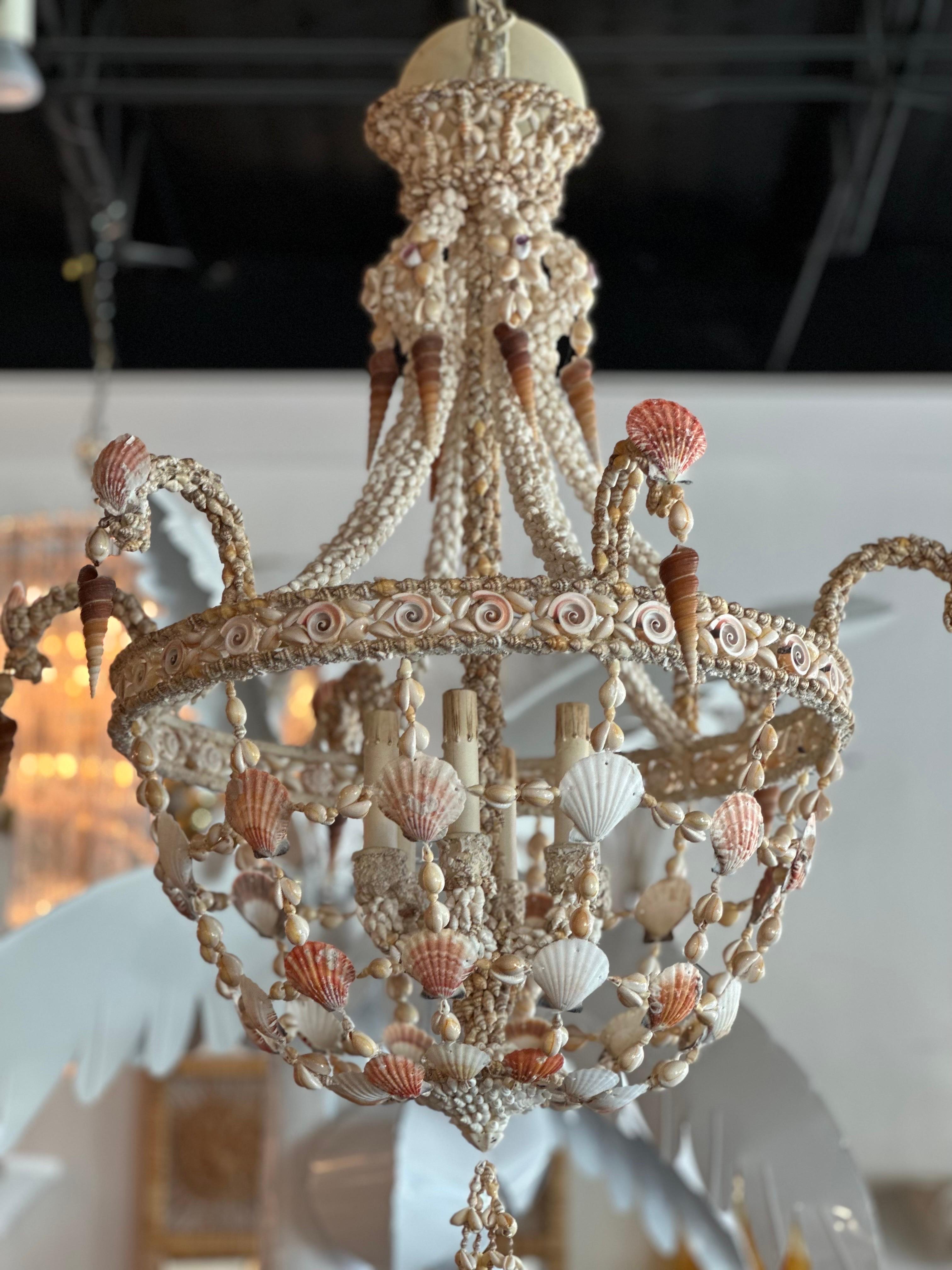 Vintage 6 Light Encrusted Seashell Shell Palm Beach Chandelier 4
