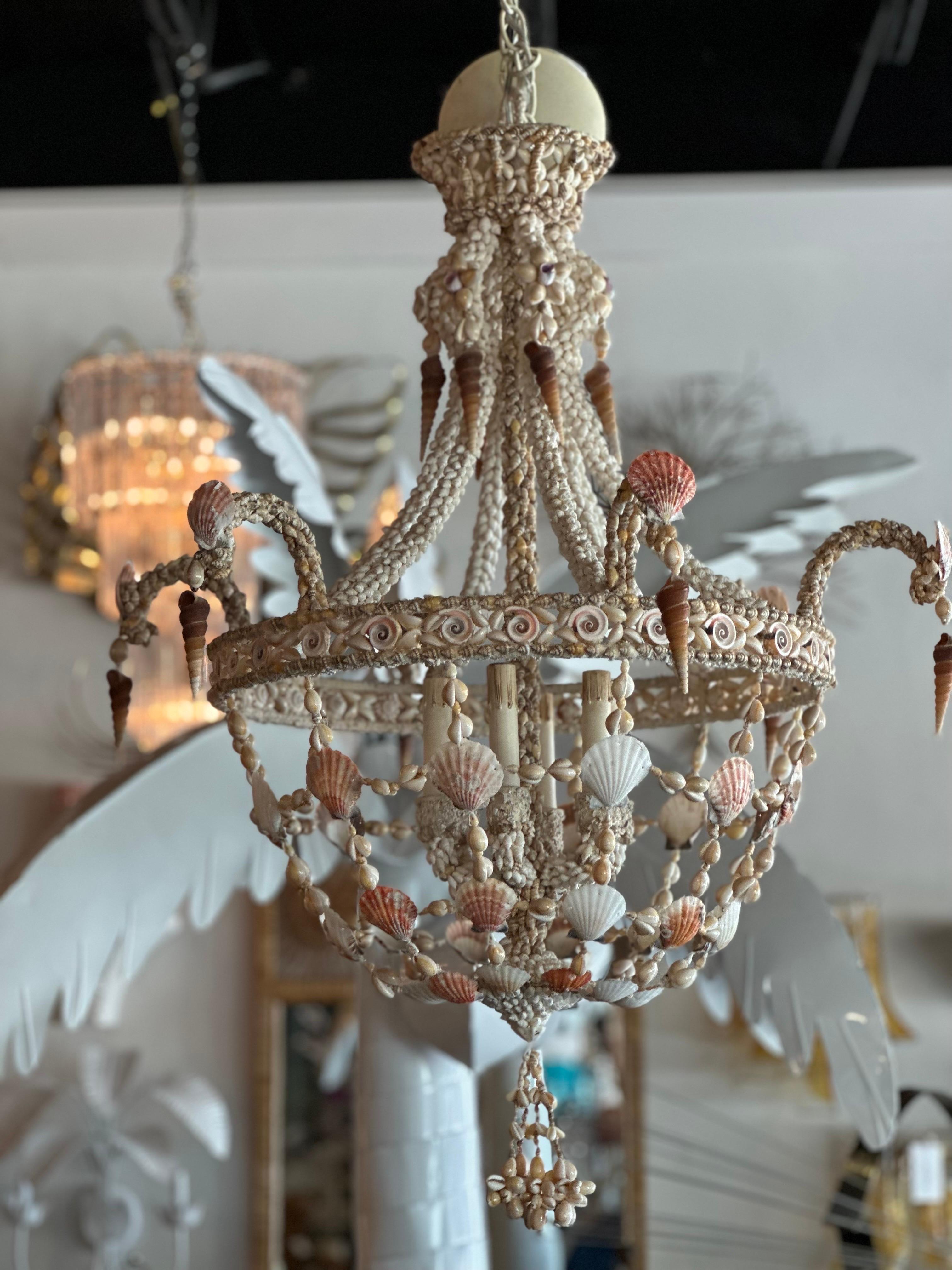 Vintage 6 Light Encrusted Seashell Shell Palm Beach Chandelier 8