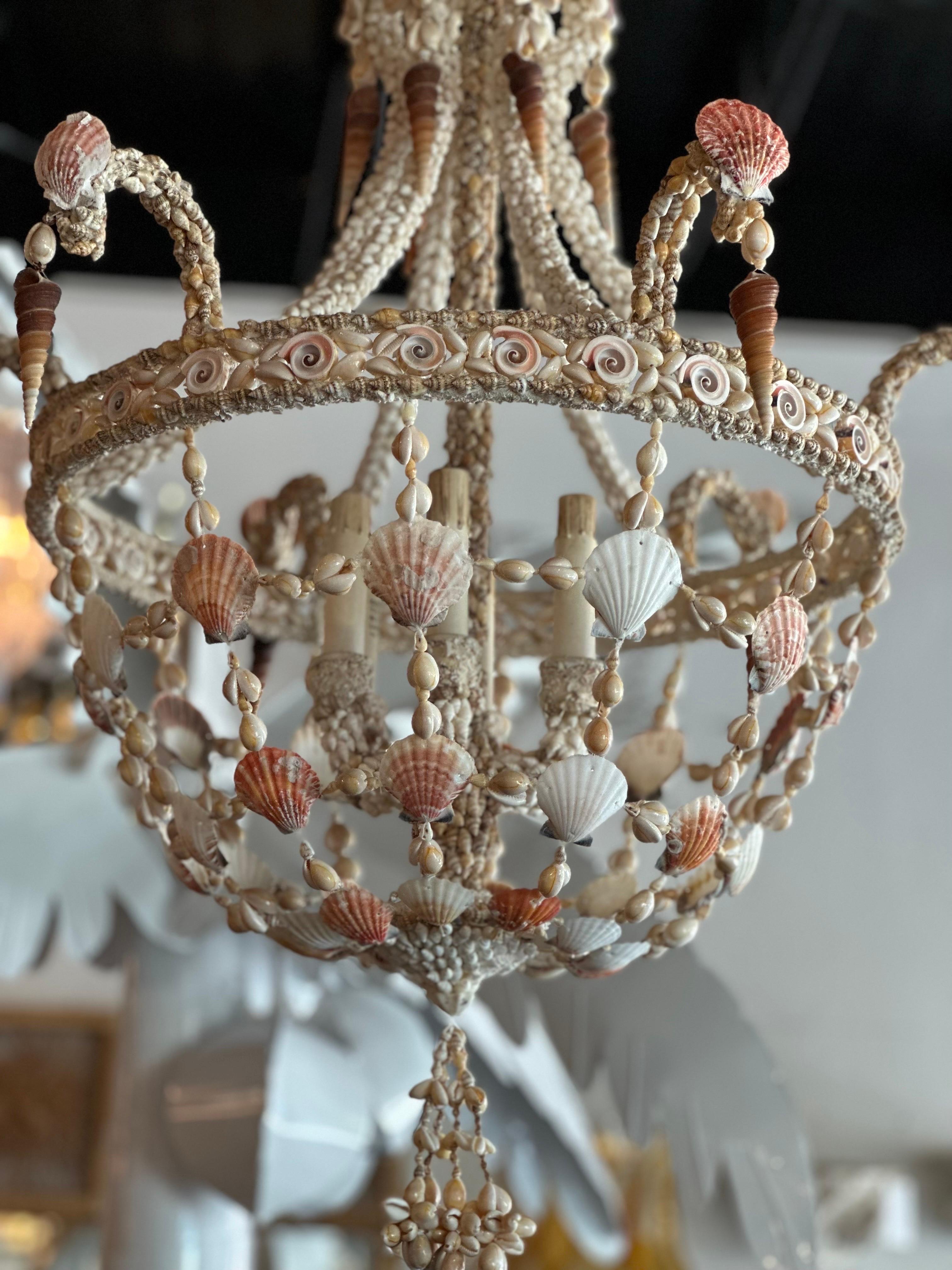 Vintage 6 Light Encrusted Seashell Shell Palm Beach Chandelier 9