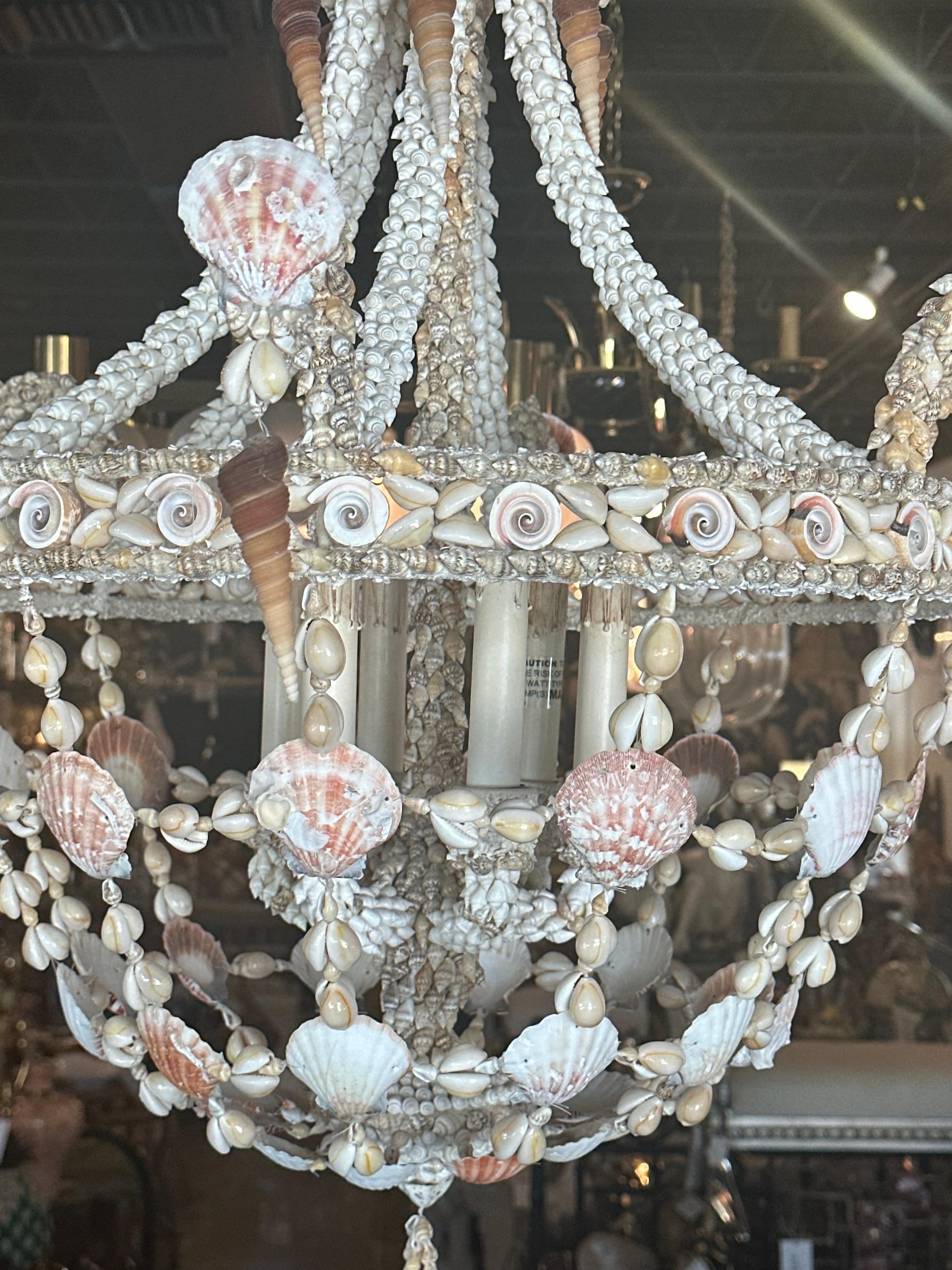 Vintage 6 Light Encrusted Seashell Shell Palm Beach Chandelier 12