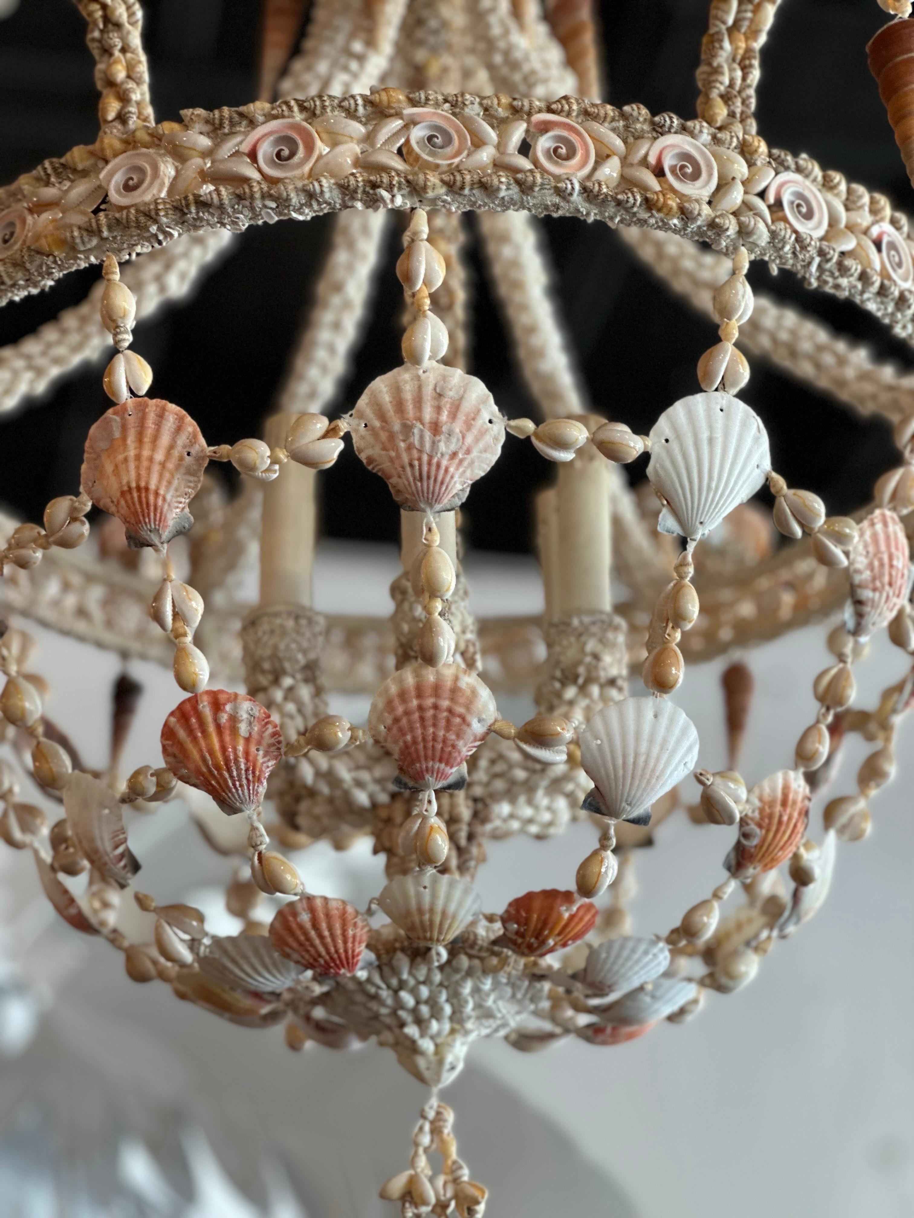 Vintage 6 Light Encrusted Seashell Shell Palm Beach Chandelier 2