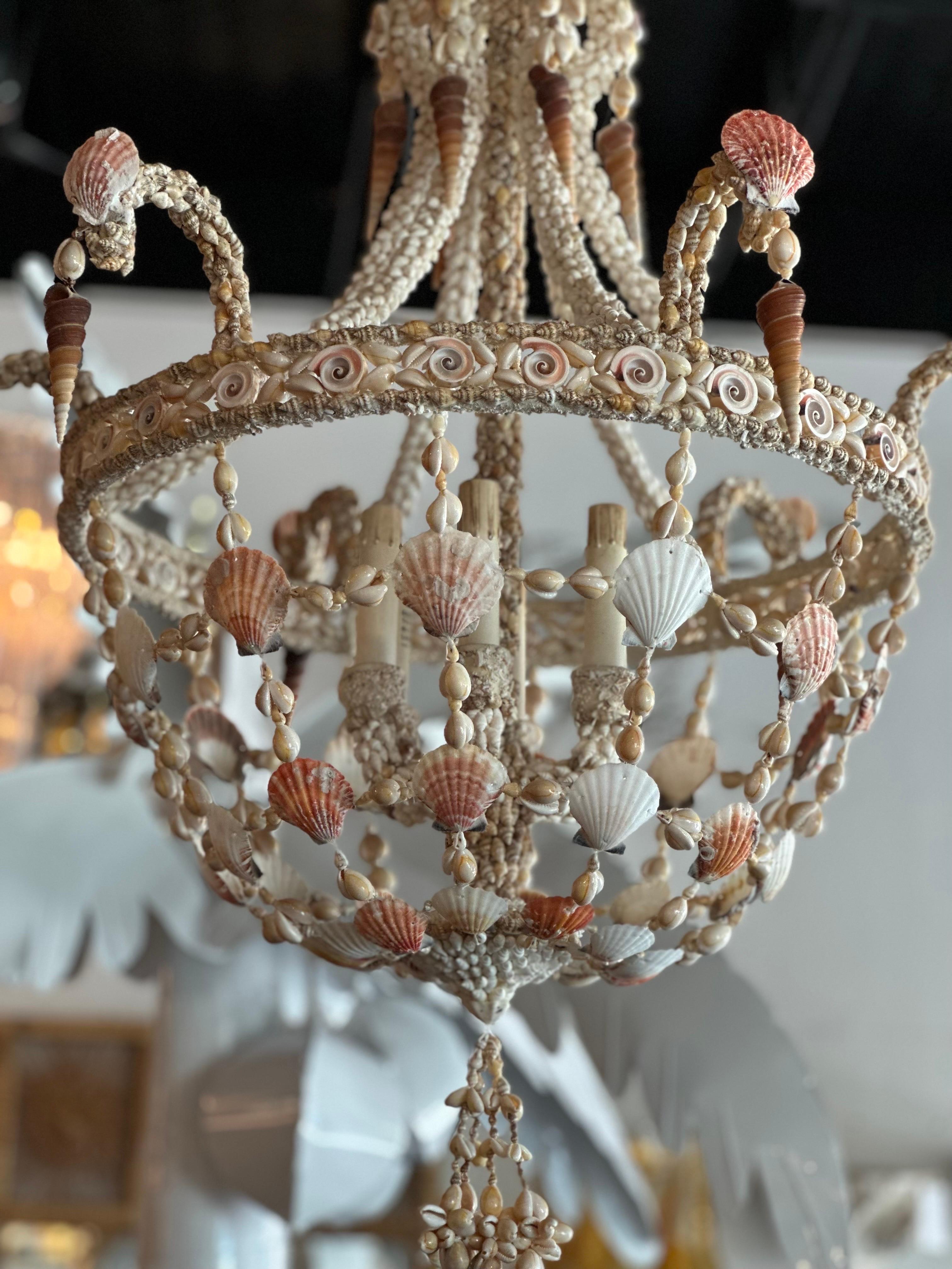 Vintage 6 Light Encrusted Seashell Shell Palm Beach Chandelier 3