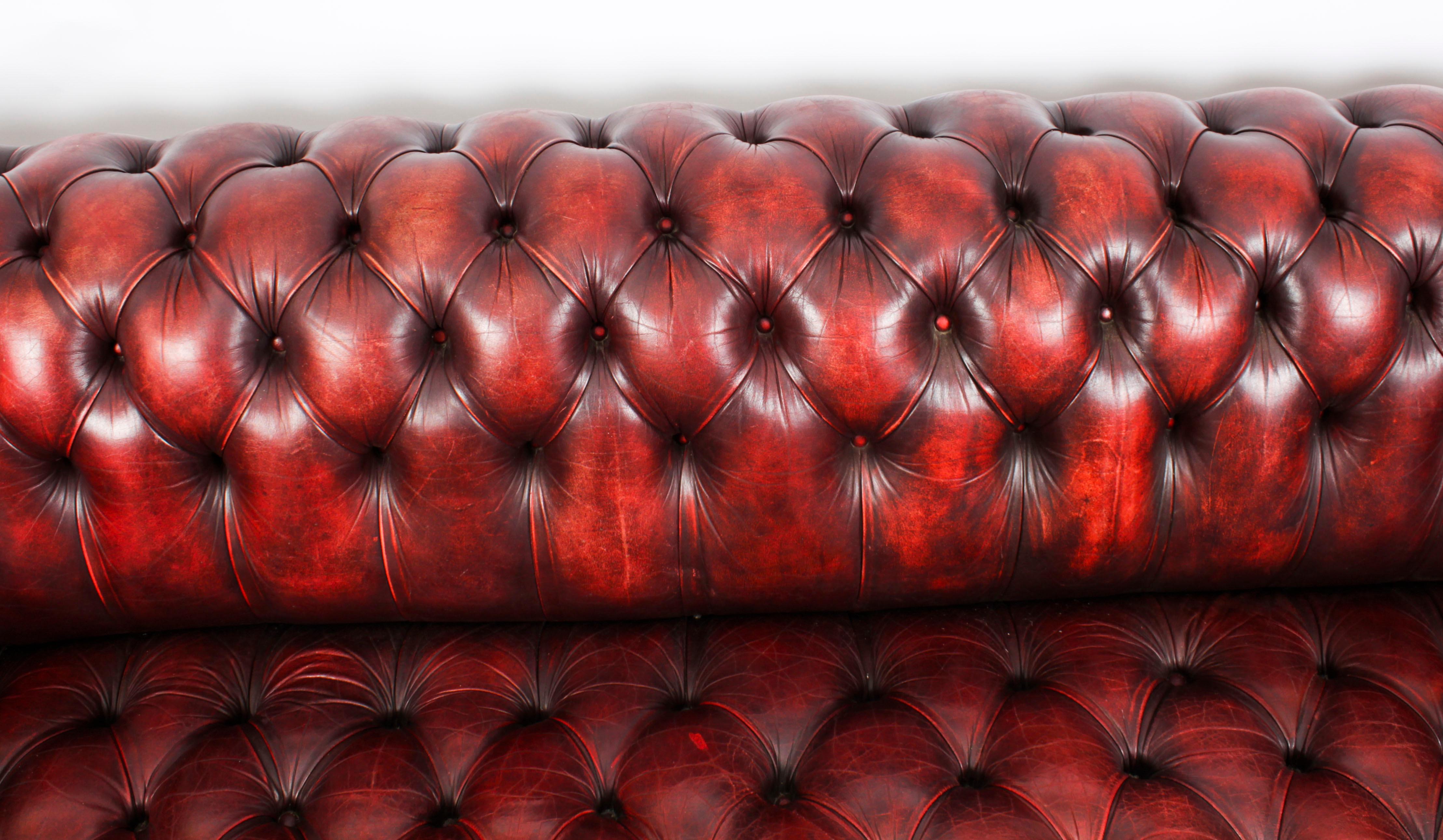 This is a superb large vintage English leather 'Chesterfield' sofa, circa 1950 in date.

This fine quality button back and seat sofa is upholstered in burgundy hide and has large robust rolling arms with a shaped barrel back of heavy contoured