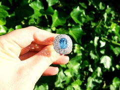 9.06 Carat Aquamarine and 8.25 Carat Diamond Earrings in Platinum