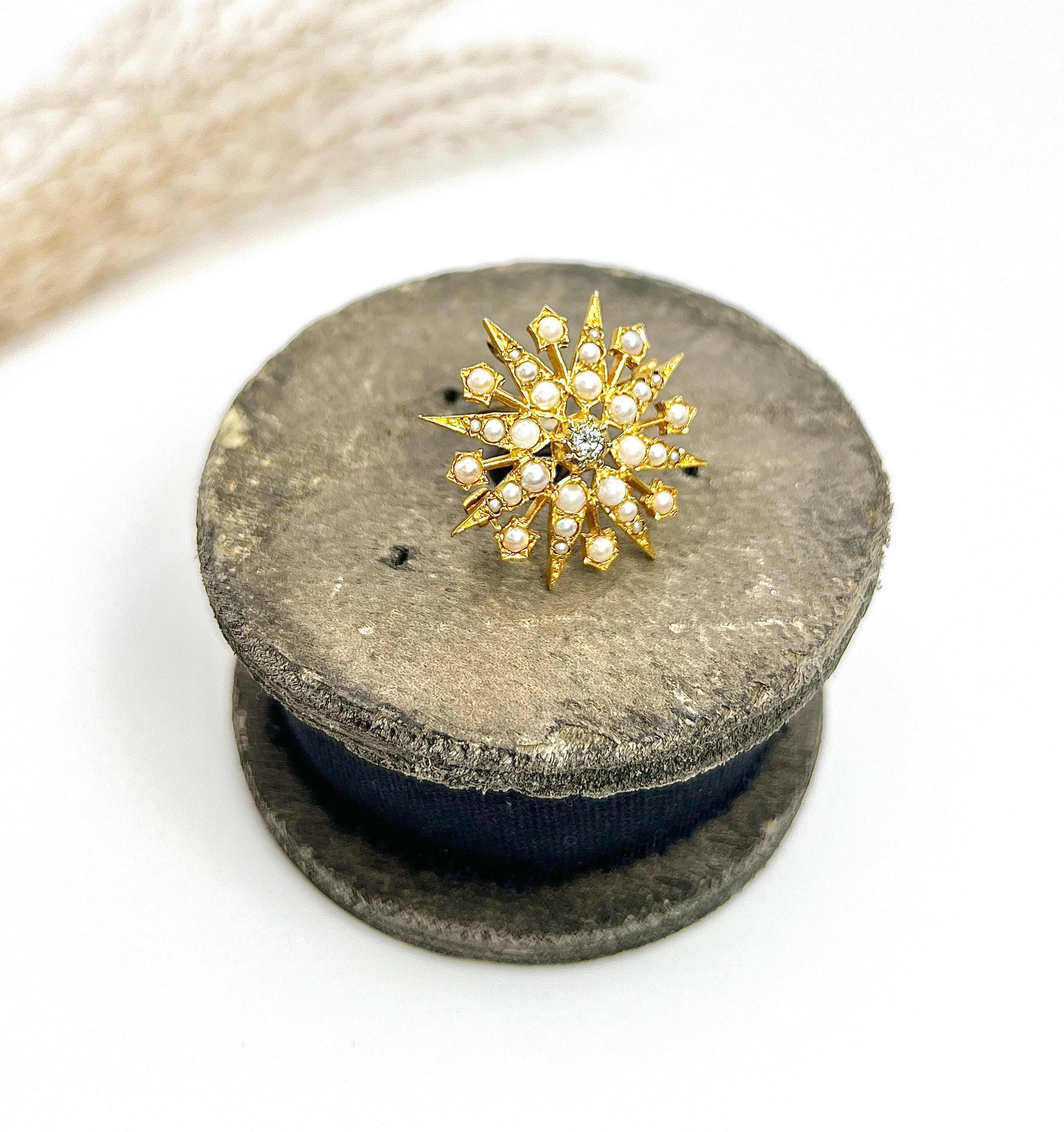 Antique Star Brooch

9ct Yellow Gold

Hallmarked London 1965

Makers Mark DHJ

This exquisite vintage 9ct yellow gold brooch showcases an enchanting 8-pointed star design, radiating timeless elegance. Adorned with graduated-sized natural seed pearls
