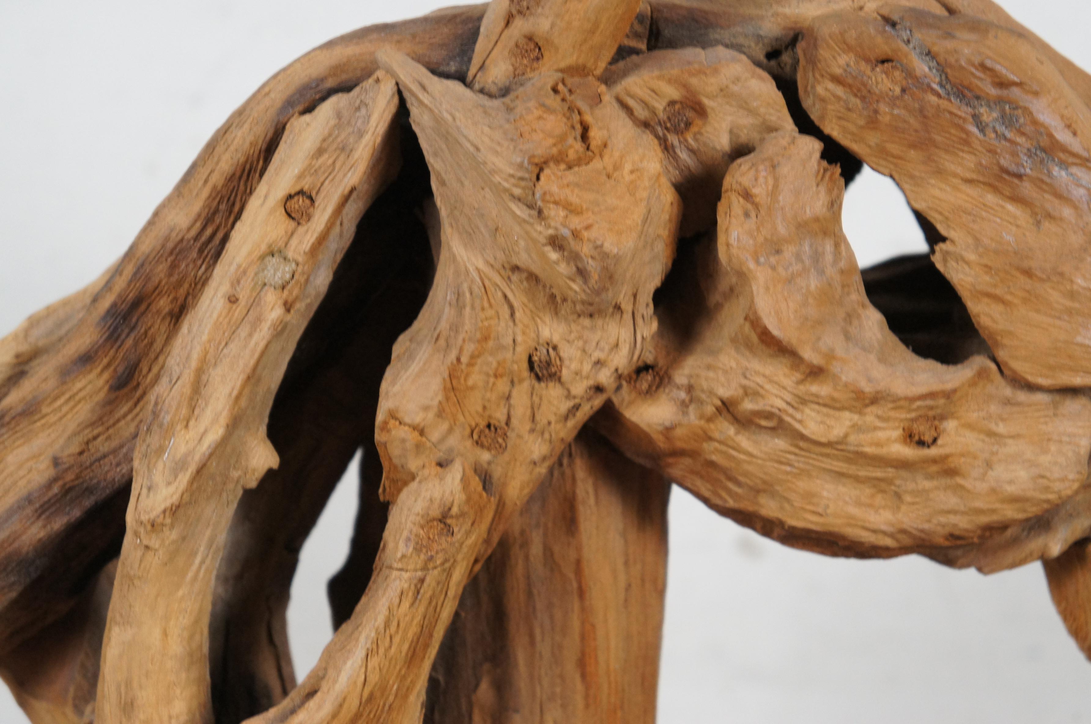 Vintage Astratto Moderno Teak Driftwood Testa di Cavallo Scultura Busto Statua 17
