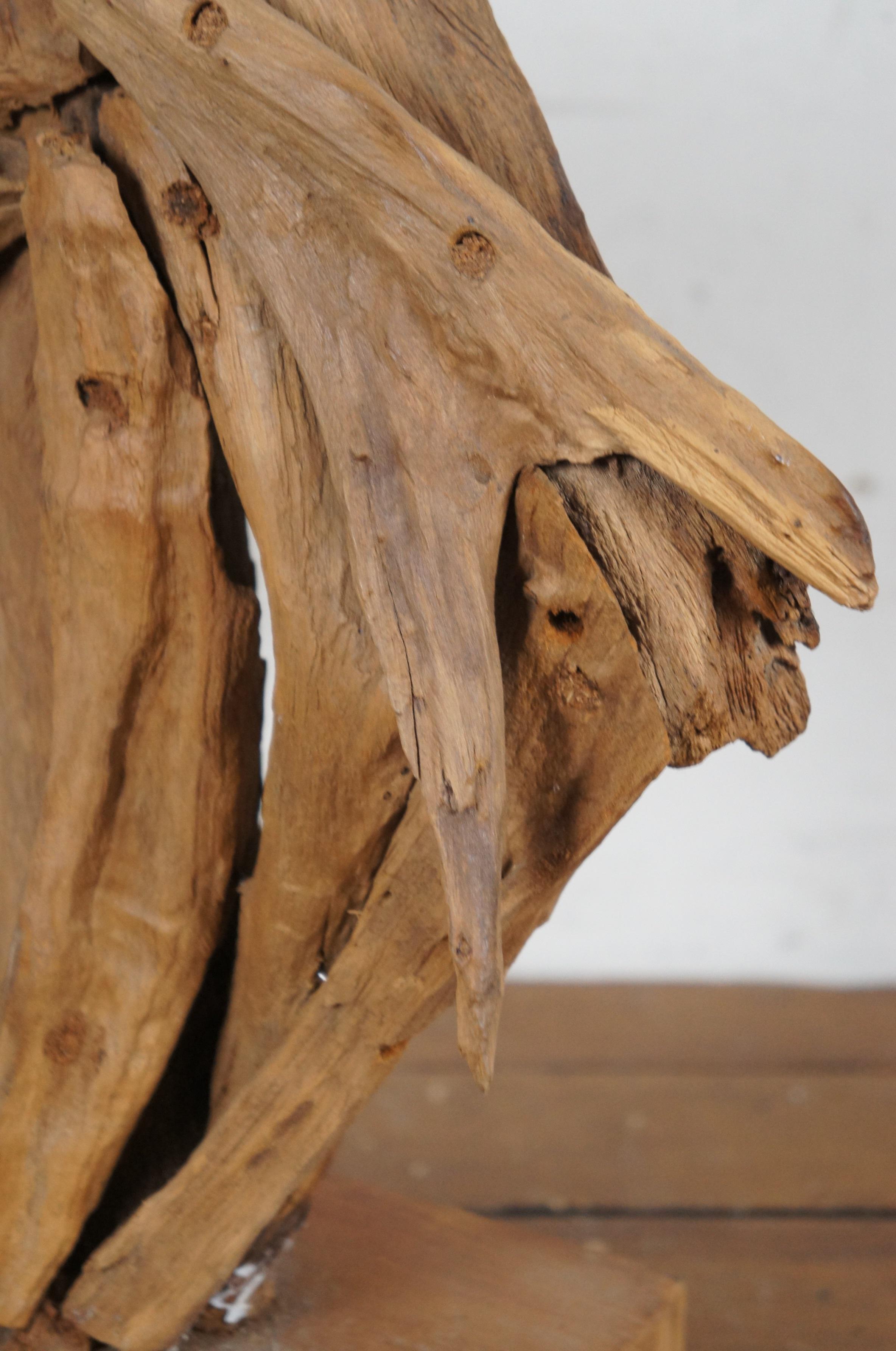 Vintage Astratto Moderno Teak Driftwood Testa di Cavallo Scultura Busto Statua 17