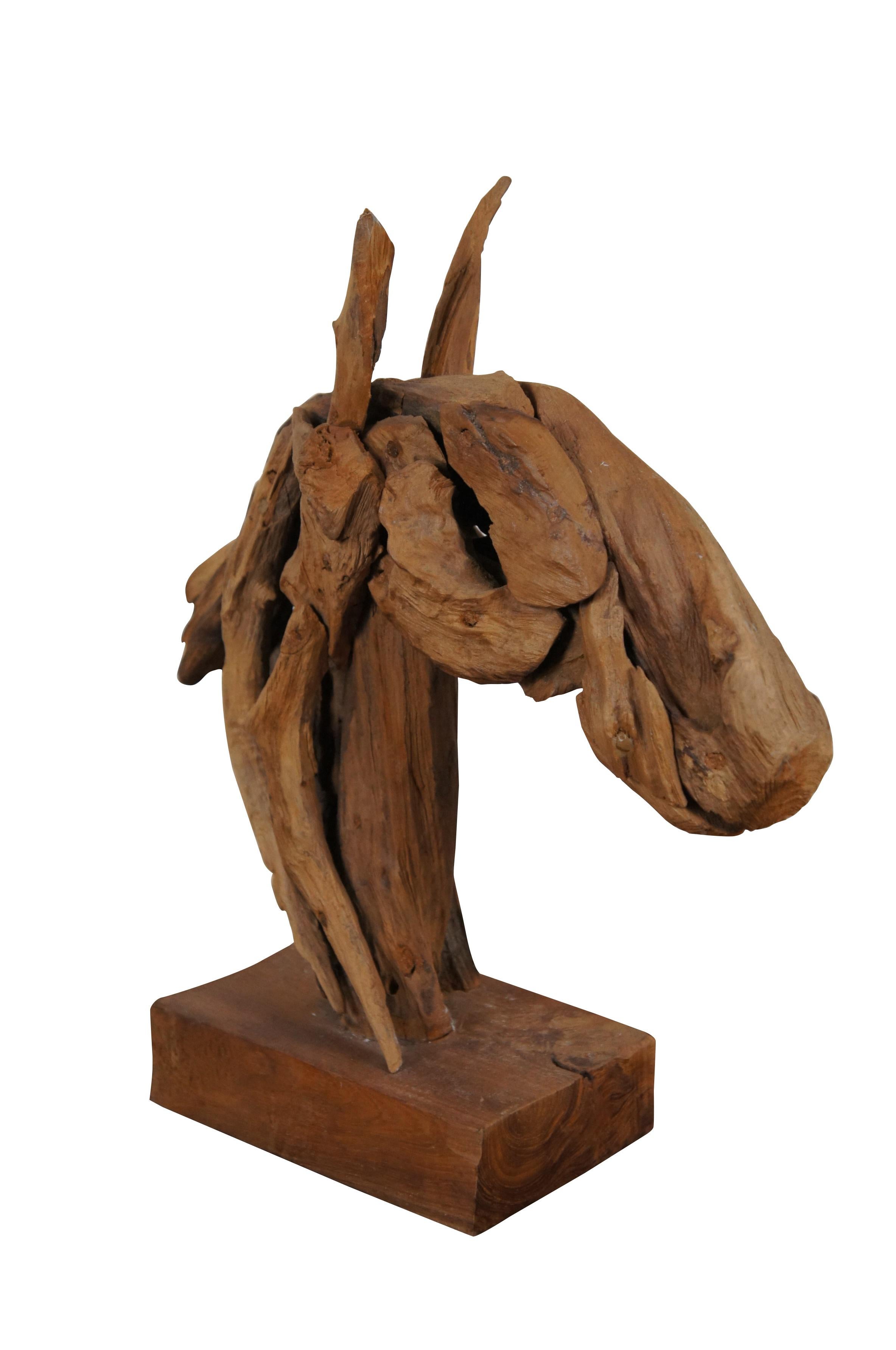 Vintage Astratto Moderno Teak Driftwood Testa di Cavallo Scultura Busto Statua 17