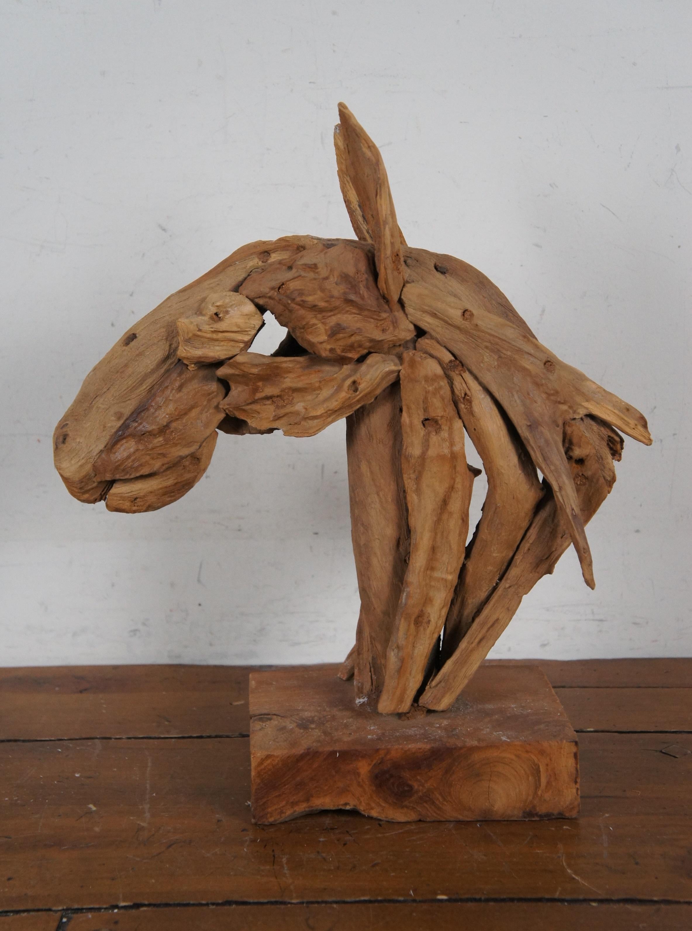 Legno di mare Vintage Astratto Moderno Teak Driftwood Testa di Cavallo Scultura Busto Statua 17