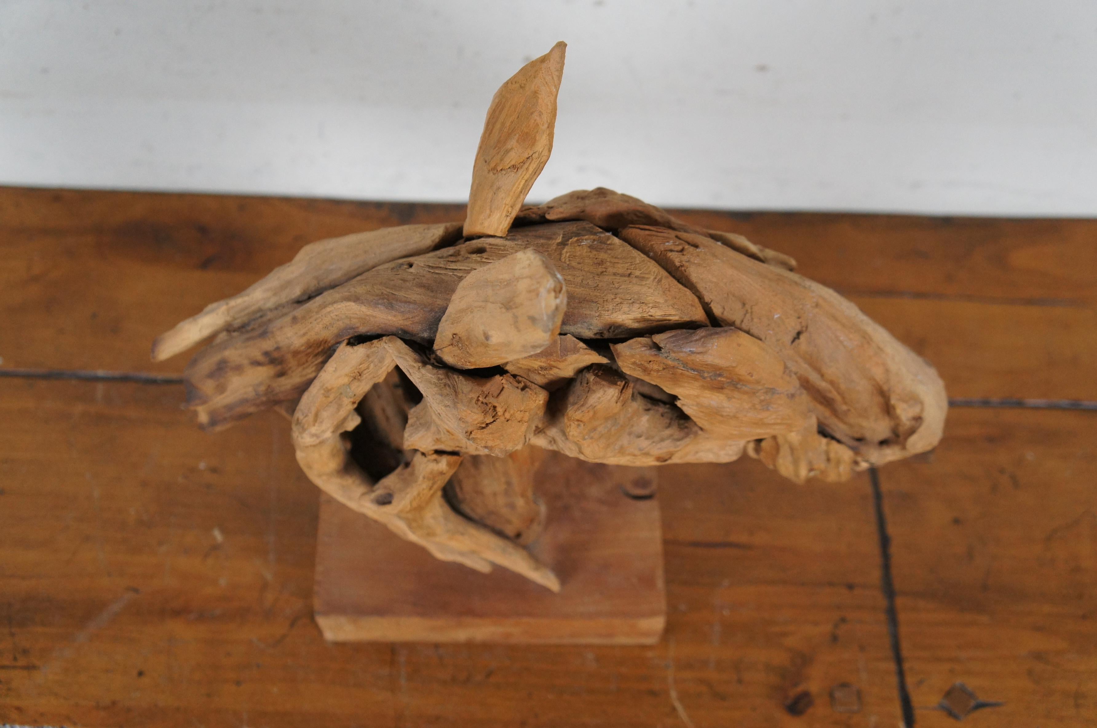 Vintage Astratto Moderno Teak Driftwood Testa di Cavallo Scultura Busto Statua 17