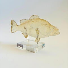 Scultura vintage di un pesce in acrilico