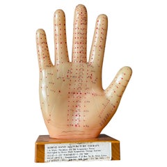 Vintage Acupuncturist's Pressure Point Guide Chart circa 1980s