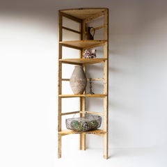 Vintage Adjustable Corner Shelving Unit From a Berlin Florist Painted Shelves