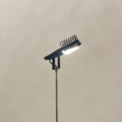 Vintage Adjustable Sintesi Terra Floor Lamp by Ernesto Gismondi, Artemide 1970s