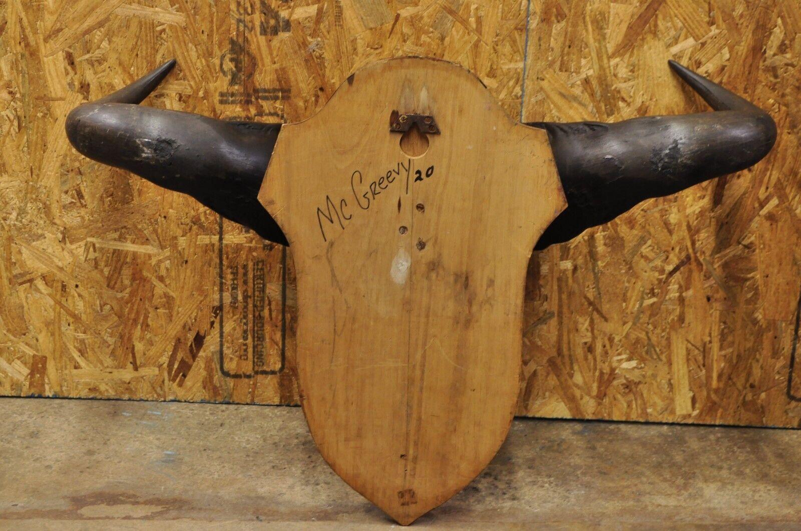 Vintage African Cape Buffalo Skull European Mount on Wooden Plaque Taxidermy For Sale 3