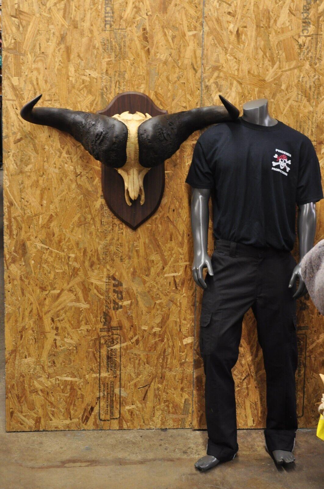 Vintage Large African Cape Buffalo Skull European Mount on Wooden Plaque Taxidermy. Circa Mid 20th Century. Measurements (Overall): 26