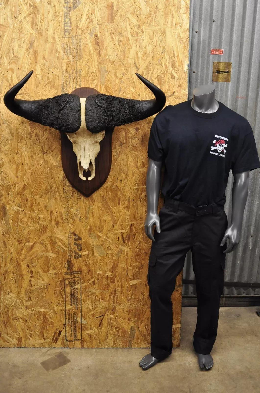 Vintage African Cape Buffalo Skull European Mount on Wooden Plaque Taxidermy. Circa Late 20th Century. Measurements (Overall): 27
