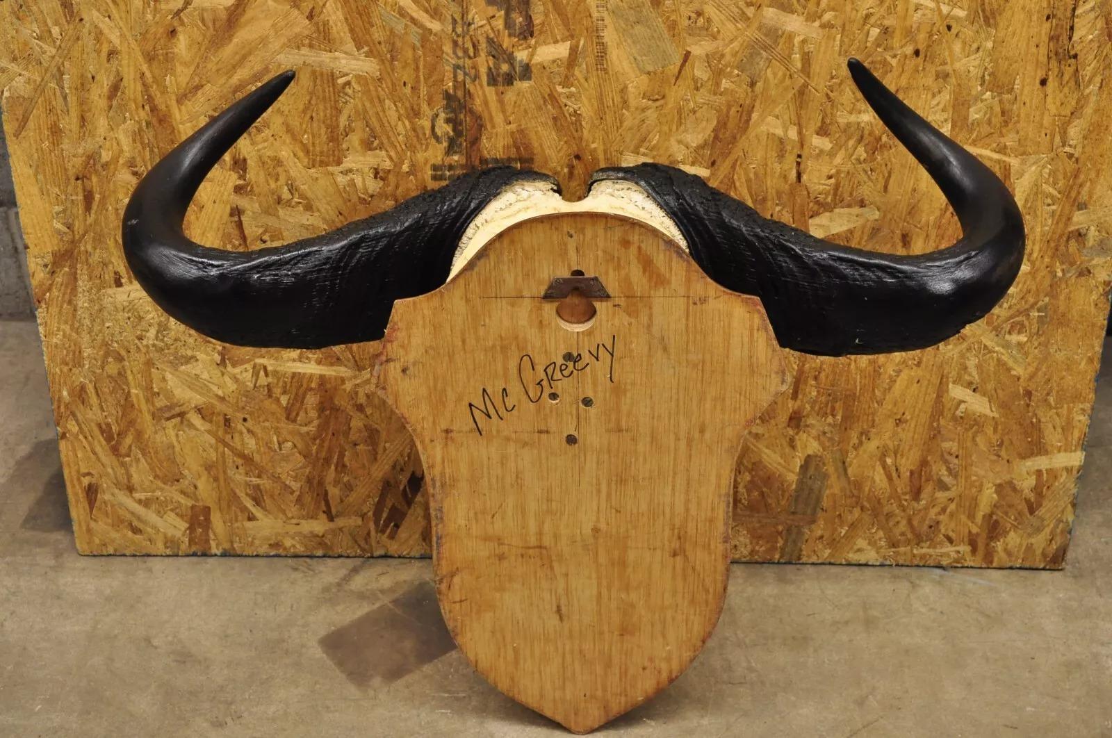 Vintage African Cape Buffalo Skull European Mount on Wooden Plaque Taxidermy For Sale 2