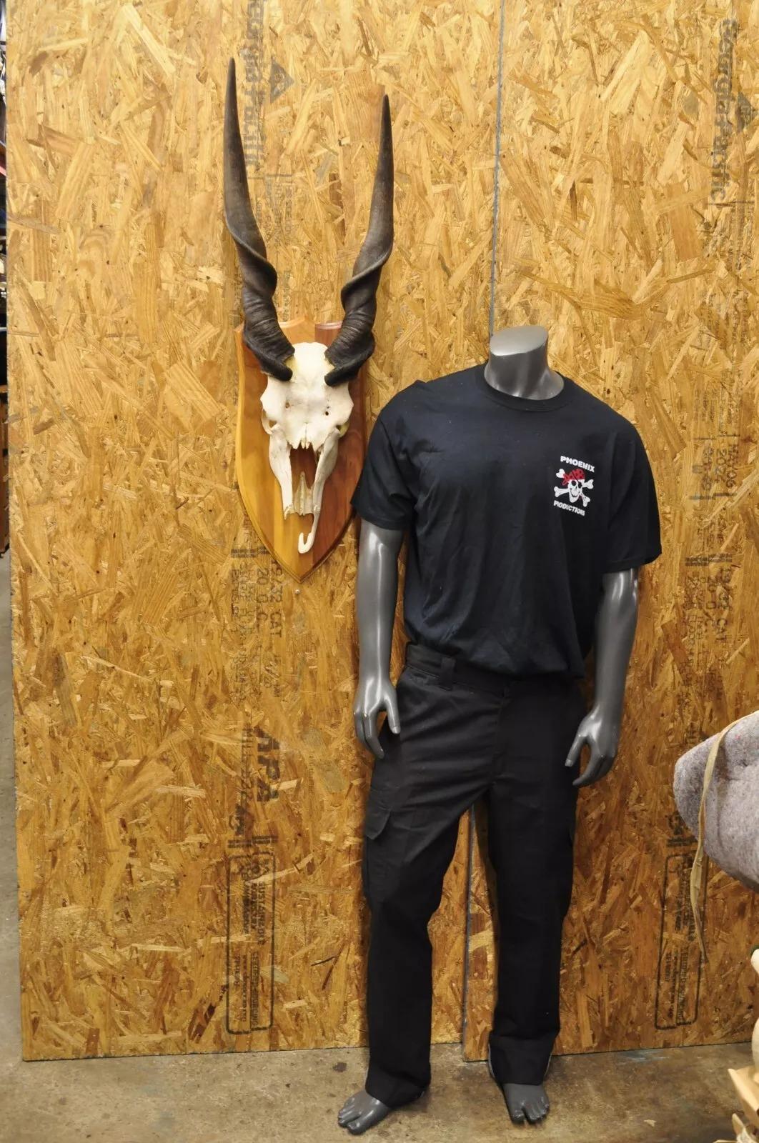 Montura vintage de cráneo de eland africano con cuernos retorcidos de 24