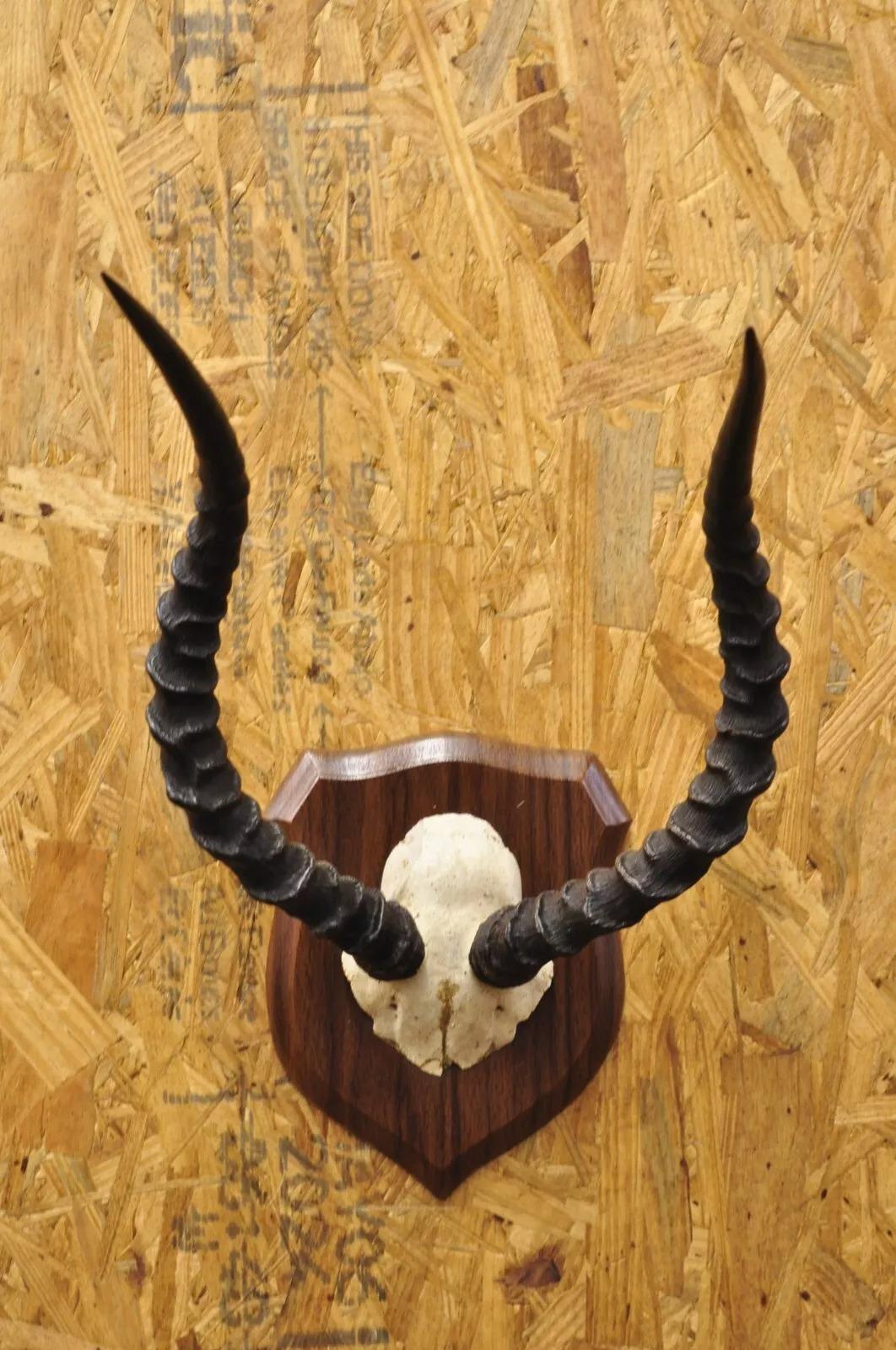 impala euro mount