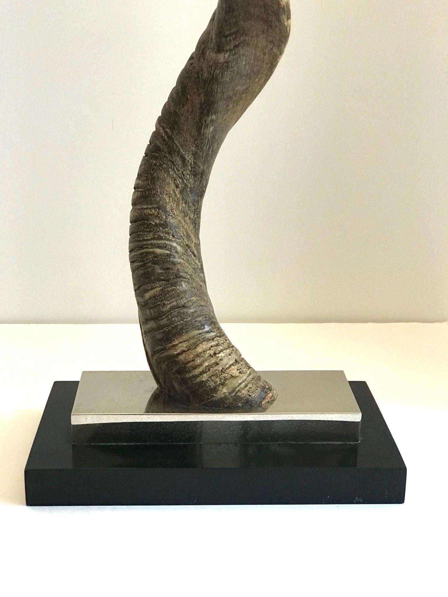 Vintage African Kudu Horn Sculpture on Stand 6