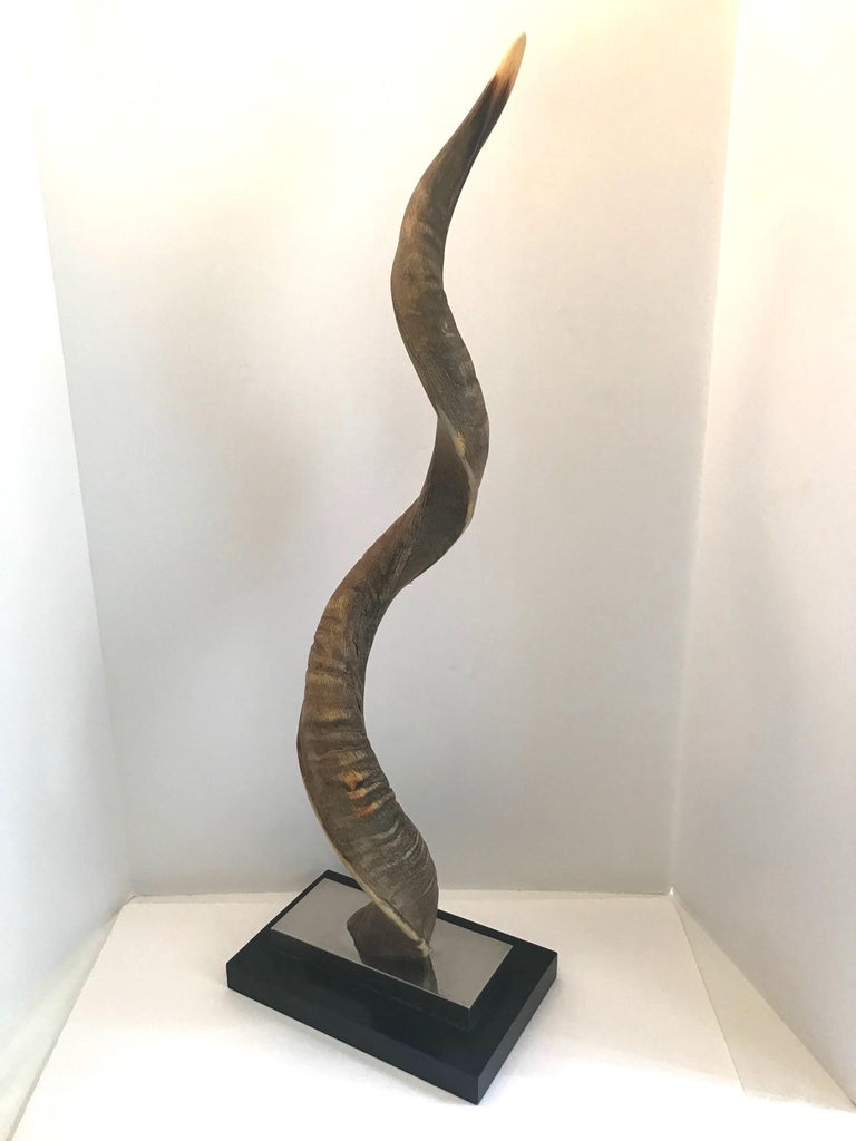 Vintage African Kudu Horn Sculpture on Stand at 1stDibs