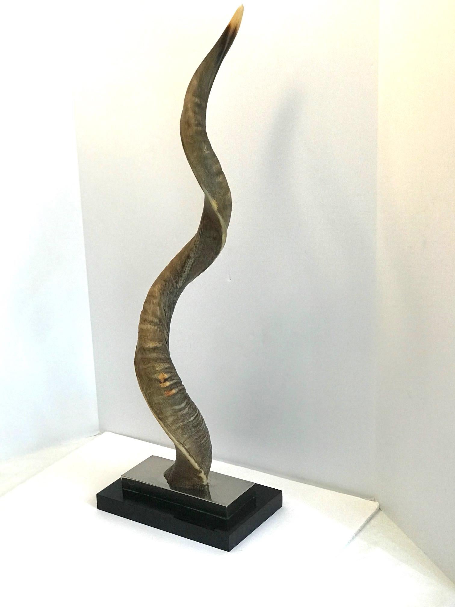 Lacquered Vintage African Kudu Horn Sculpture on Stand