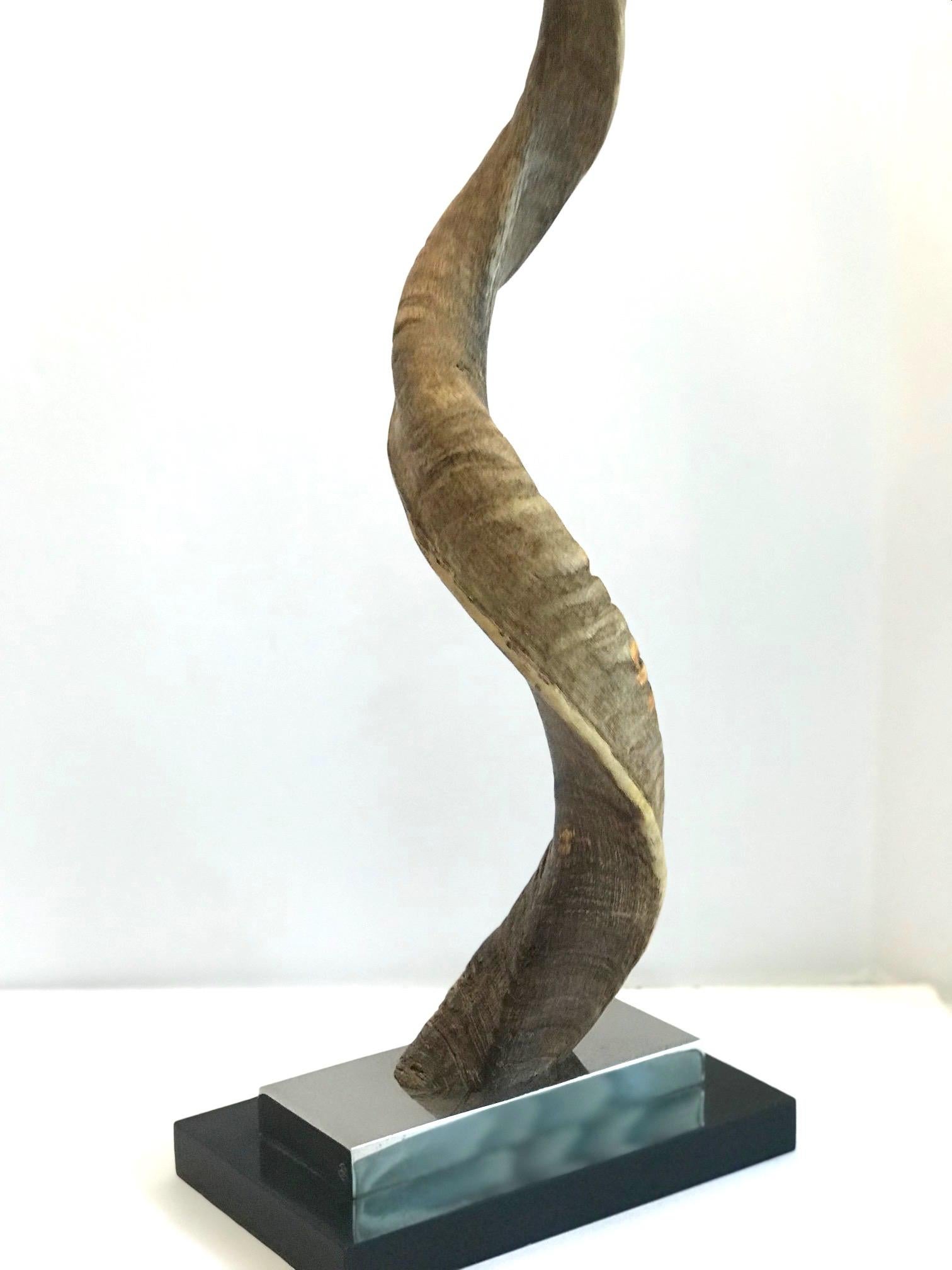 Late 20th Century Vintage African Kudu Horn Sculpture on Stand