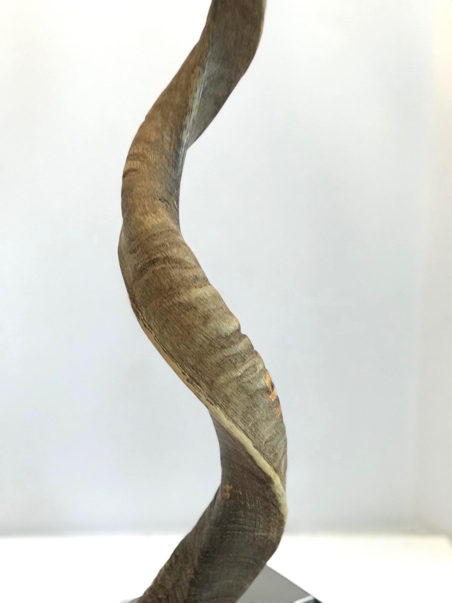 Vintage African Kudu Horn Sculpture on Stand 1