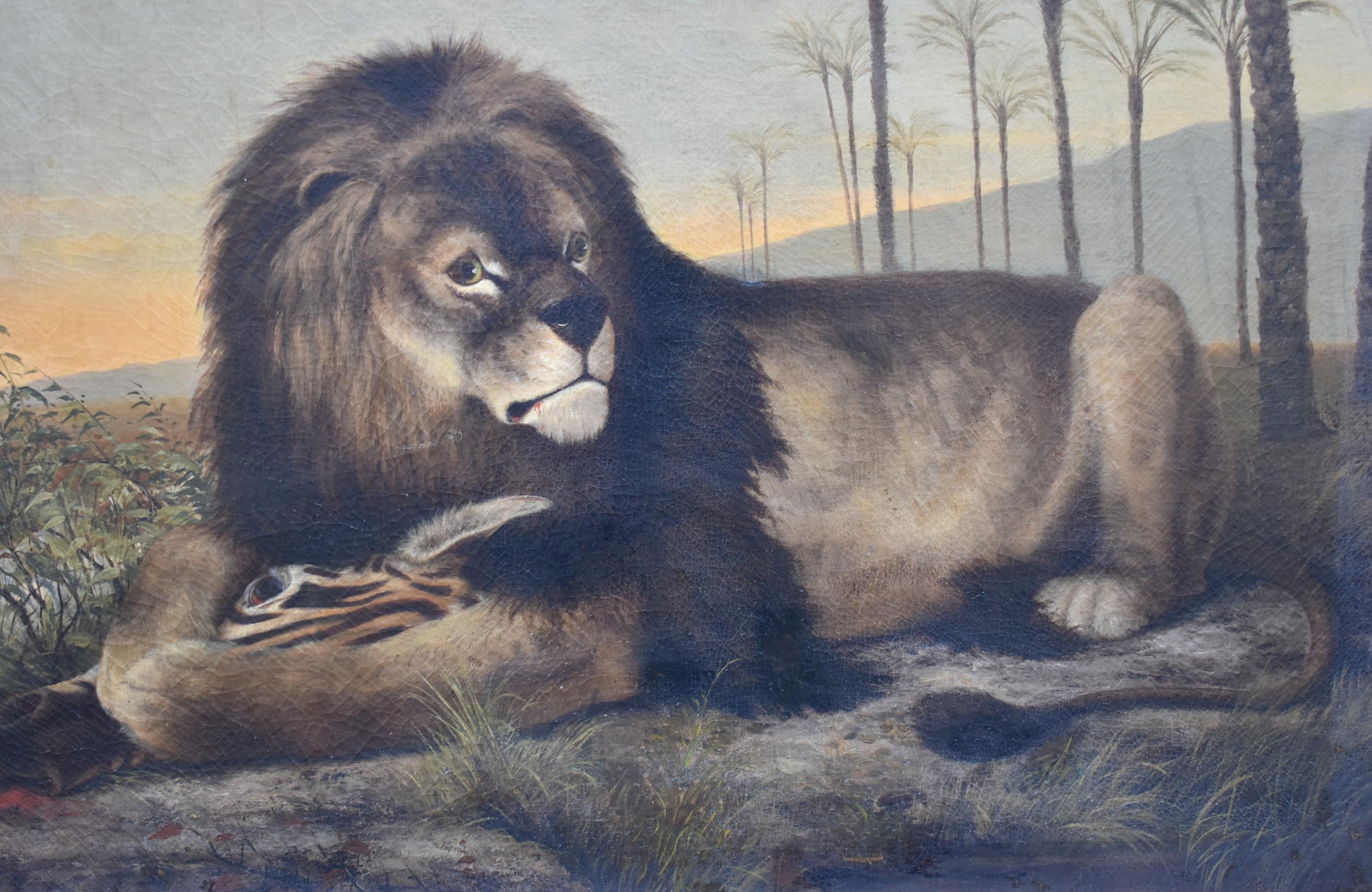 Vintage 1880, peinture à l'huile sur toile d'un lion africain. Lion couché mangeant un zèbre sur fond de coucher de soleil et de rangées de palmiers. Très bon état, petite réparation au verso. Craquelure de surface non signée. Dimensions : 45