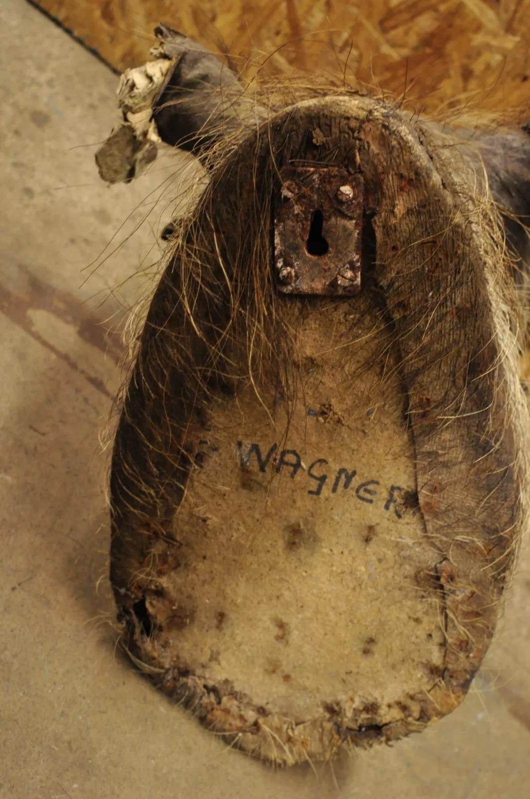 Afrikanische Warthog-Schulterhalterung Taxidermie-Kabin Safari-Wandschmuck, Vintage im Angebot 4