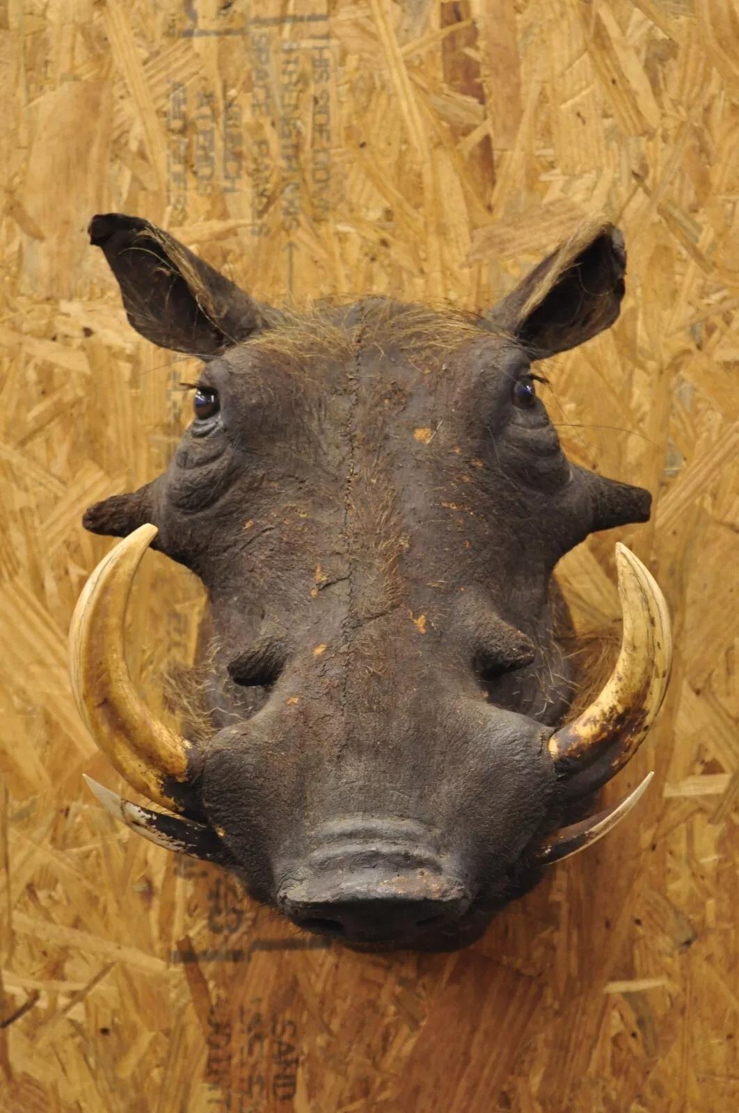 warthog mount