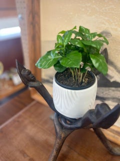 Vintage African Wooden Decor Stand With Three Carved Spearpoint Heads.