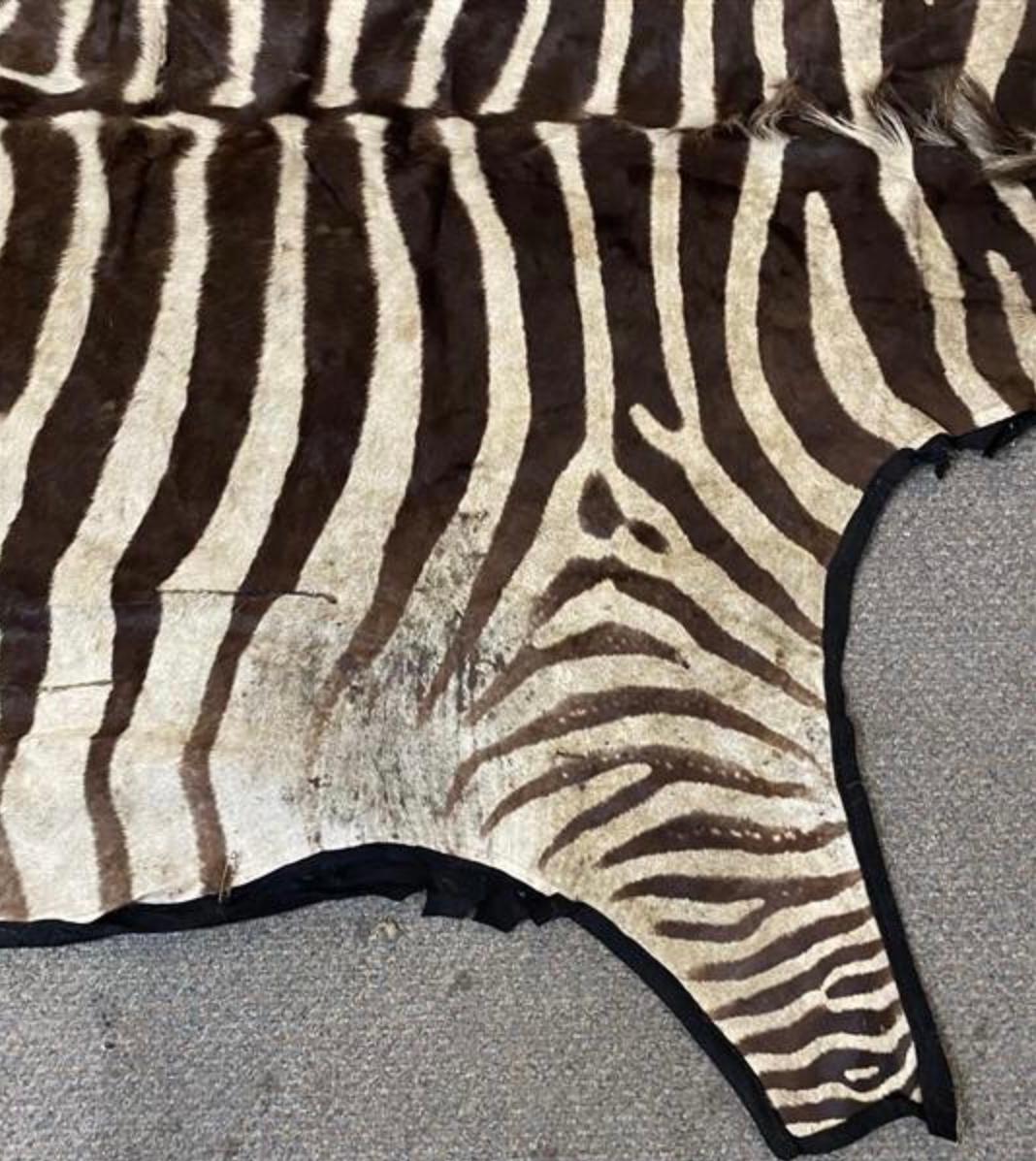 Rustic Vintage African Zebra Hide Rug