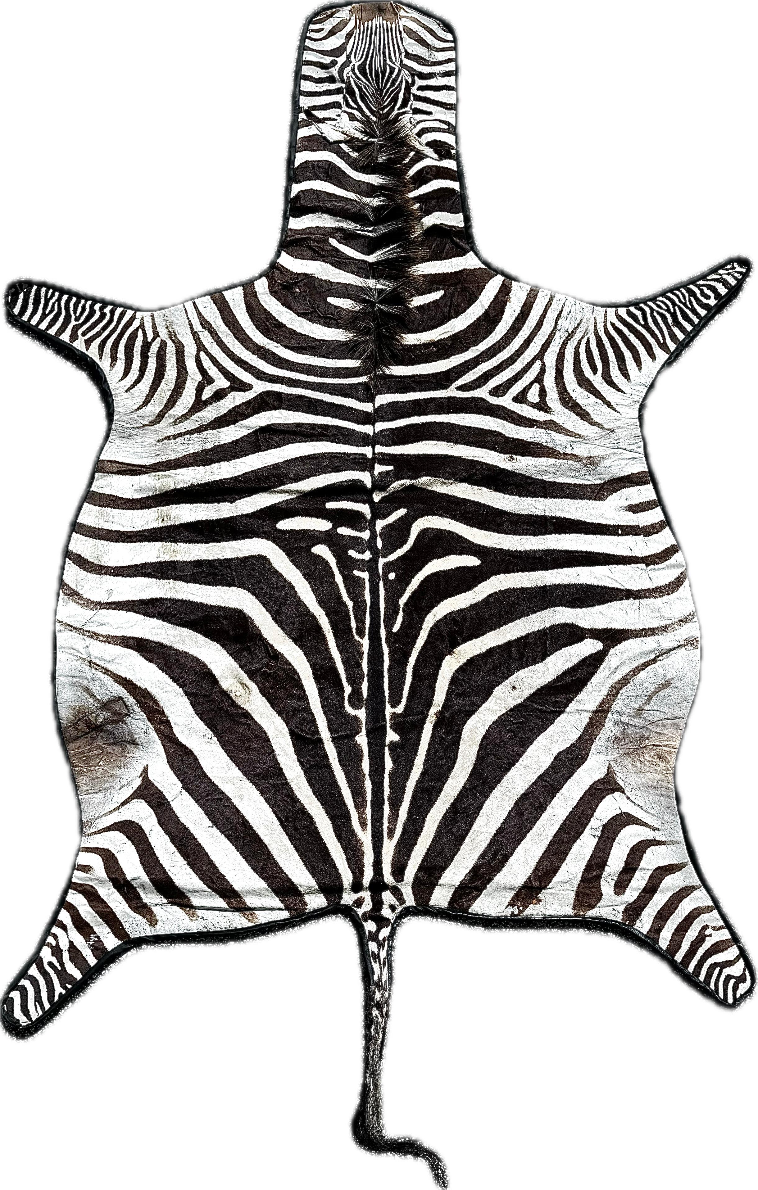 Unknown Vintage African Zebra Hide Rug For Sale
