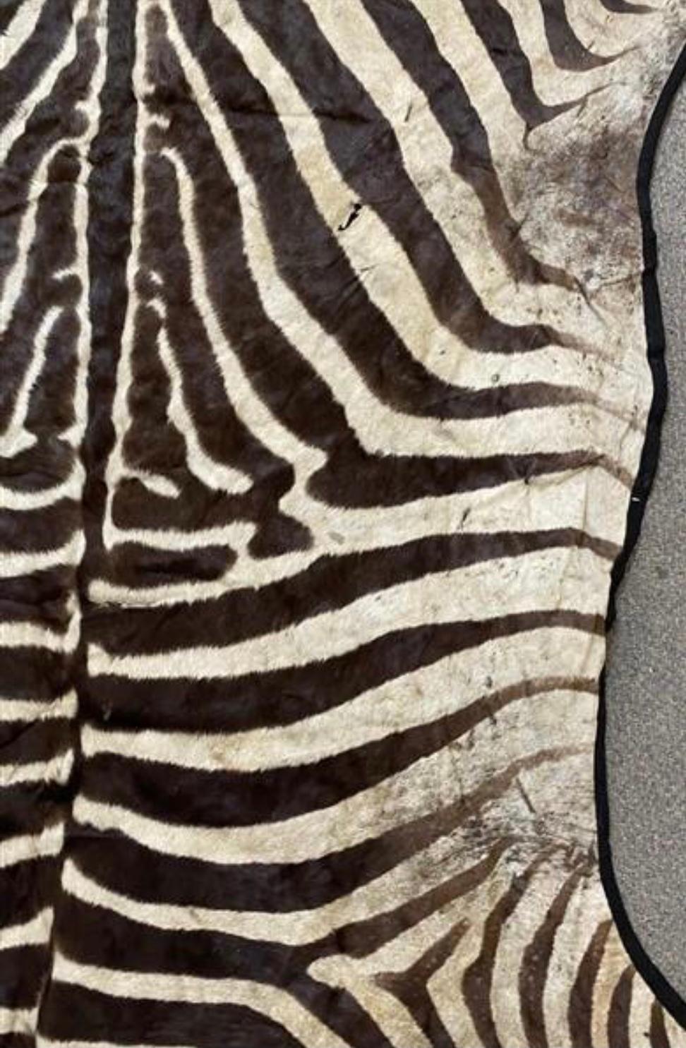 Vintage African Zebra Hide Rug 1