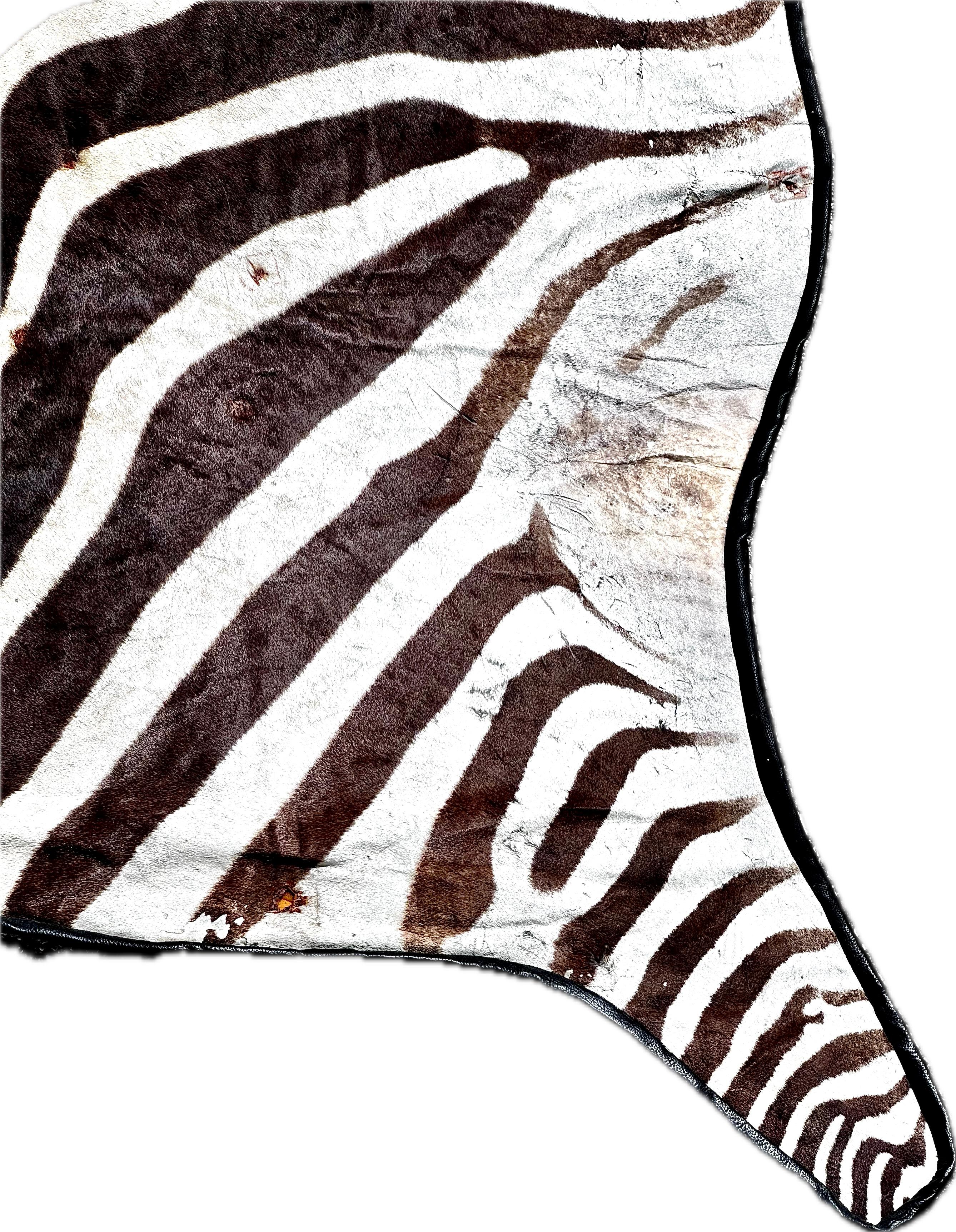Vintage African Zebra Hide Rug For Sale 1