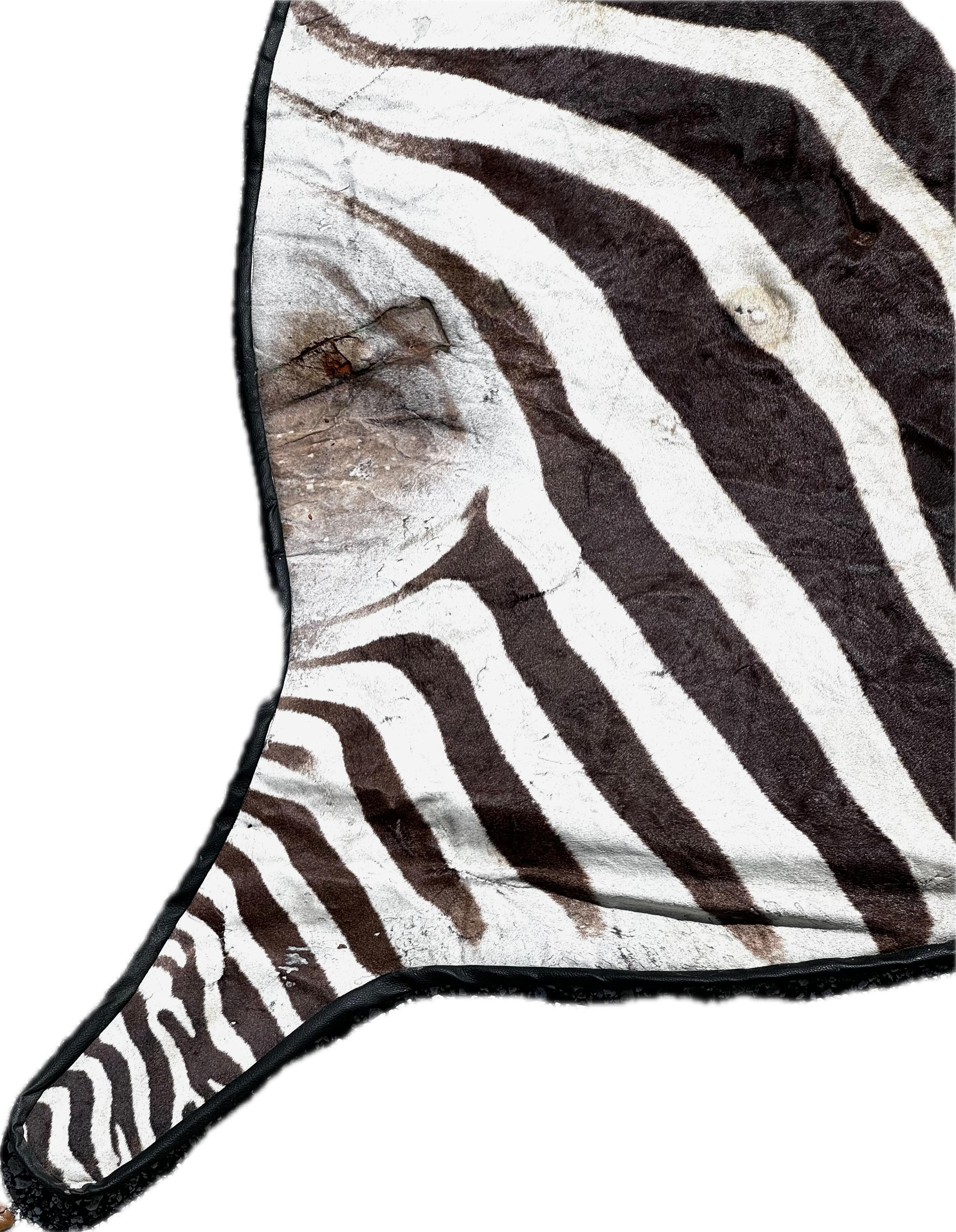 Vintage African Zebra Hide Rug For Sale 2