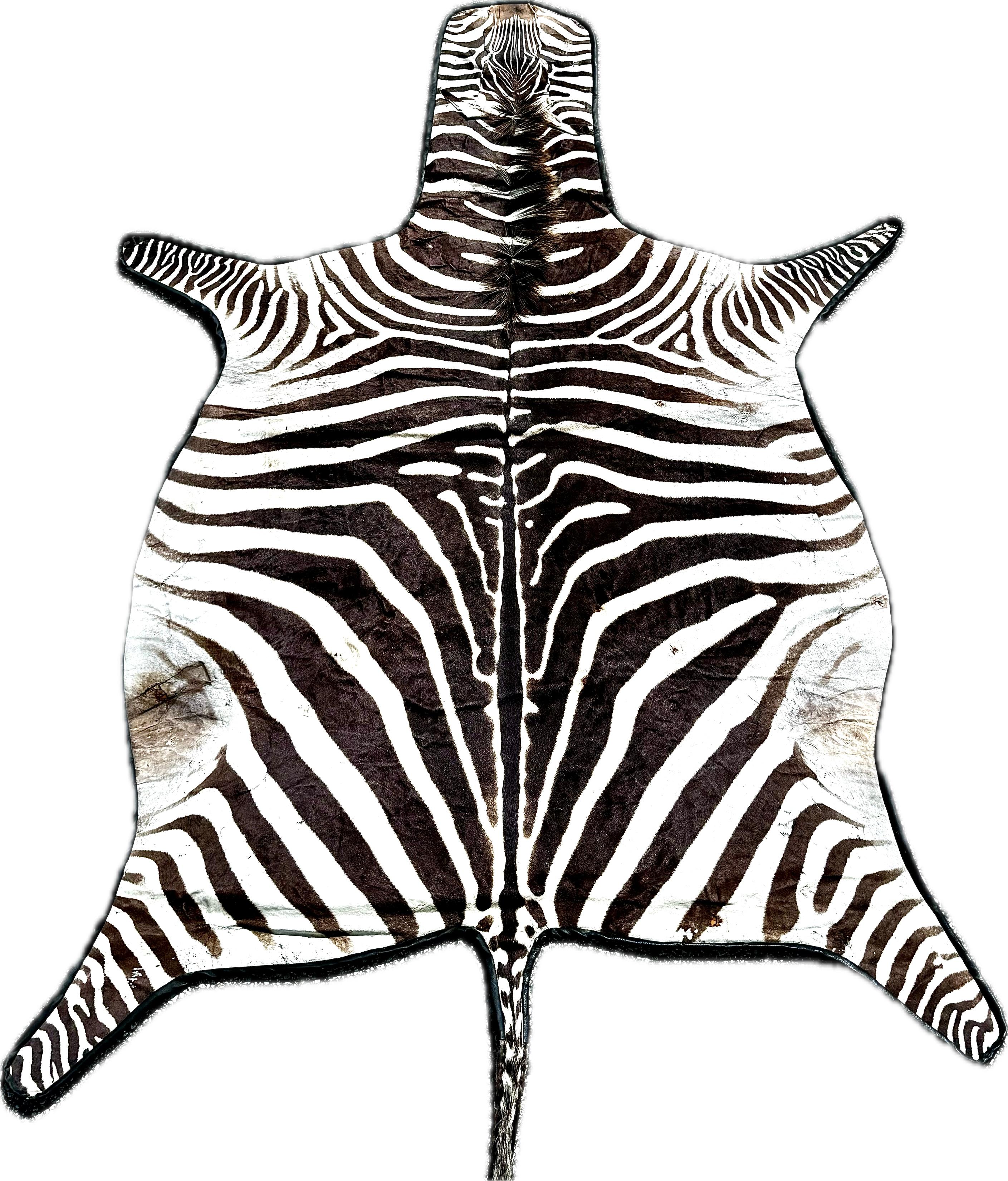 Vintage African Zebra Hide Rug For Sale 3