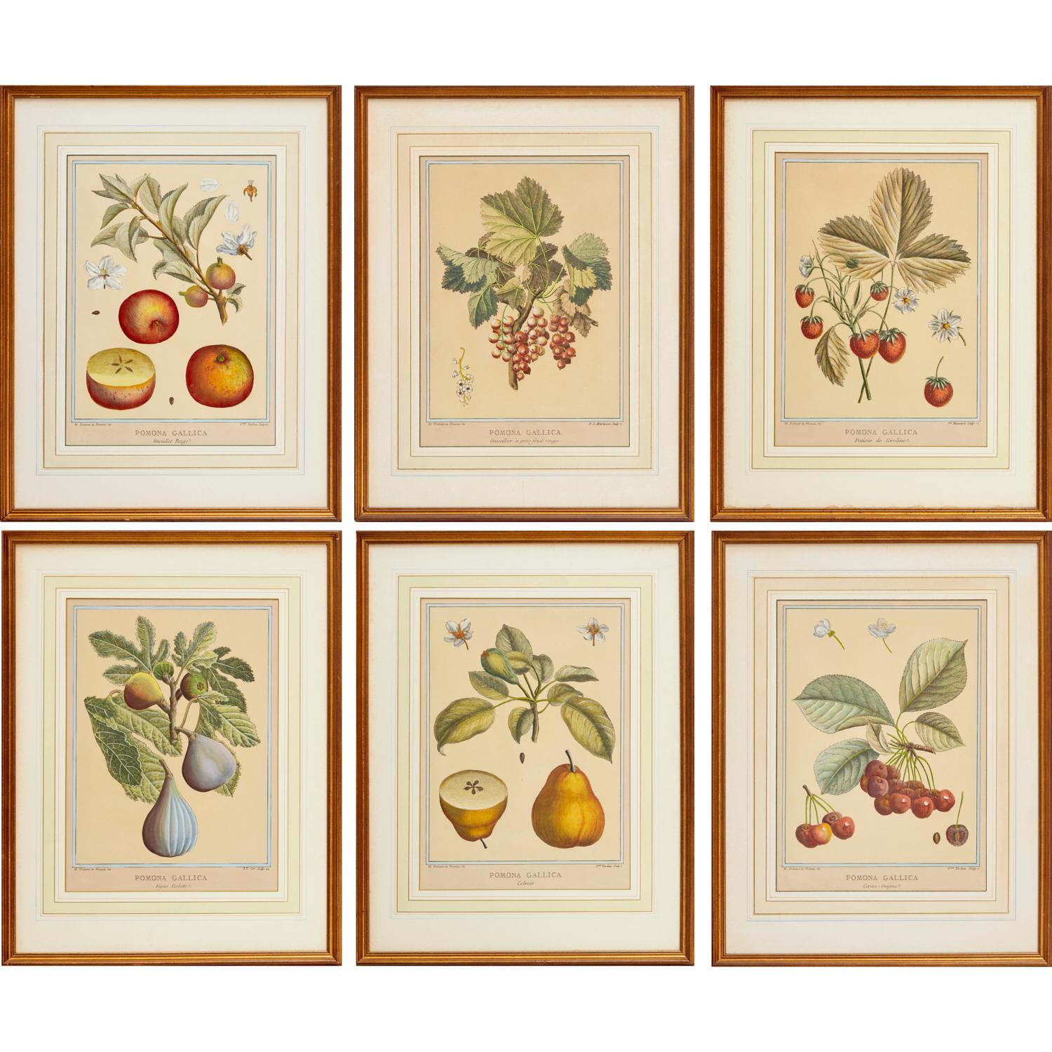 Glass Vintage, After Duhamel du Monceau, (6) Hand-Colored Prints of Fruits and Berries