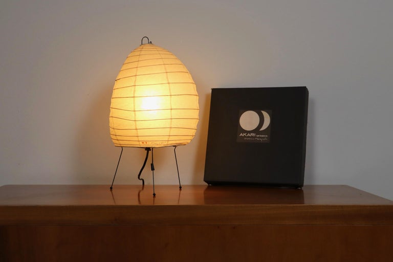 Noguchi akari 1n top